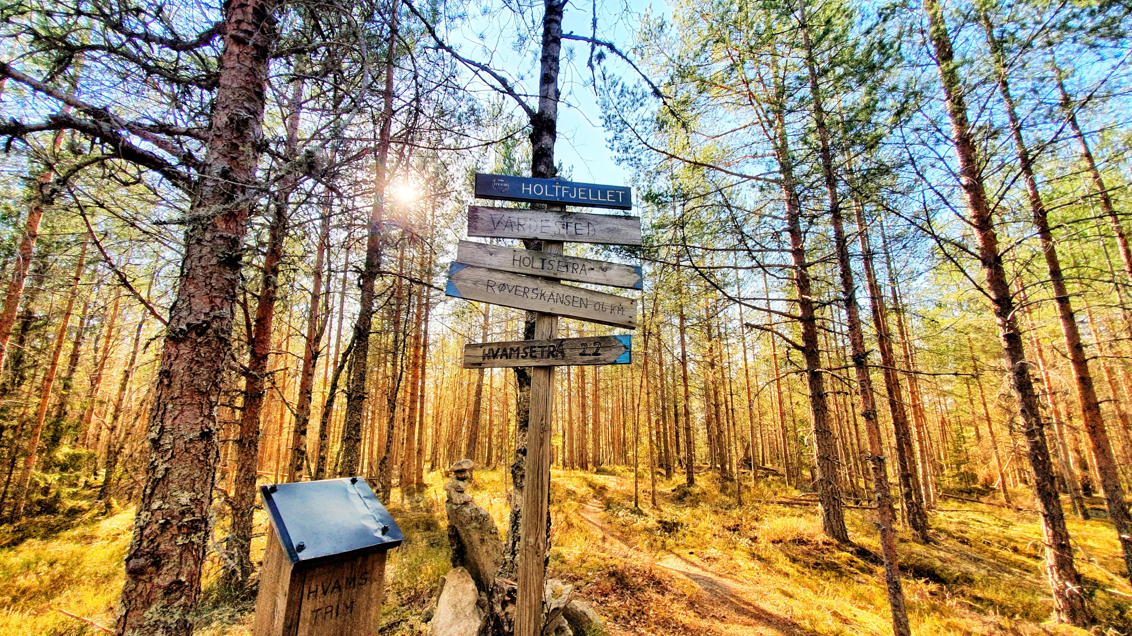 Hiking trails north of Oslo, Eastern Norway