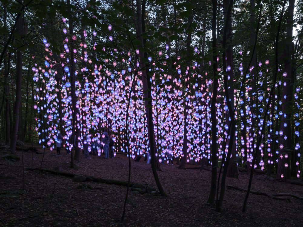 Pipilotti Rist: Nordic Pixel Forest, 2024