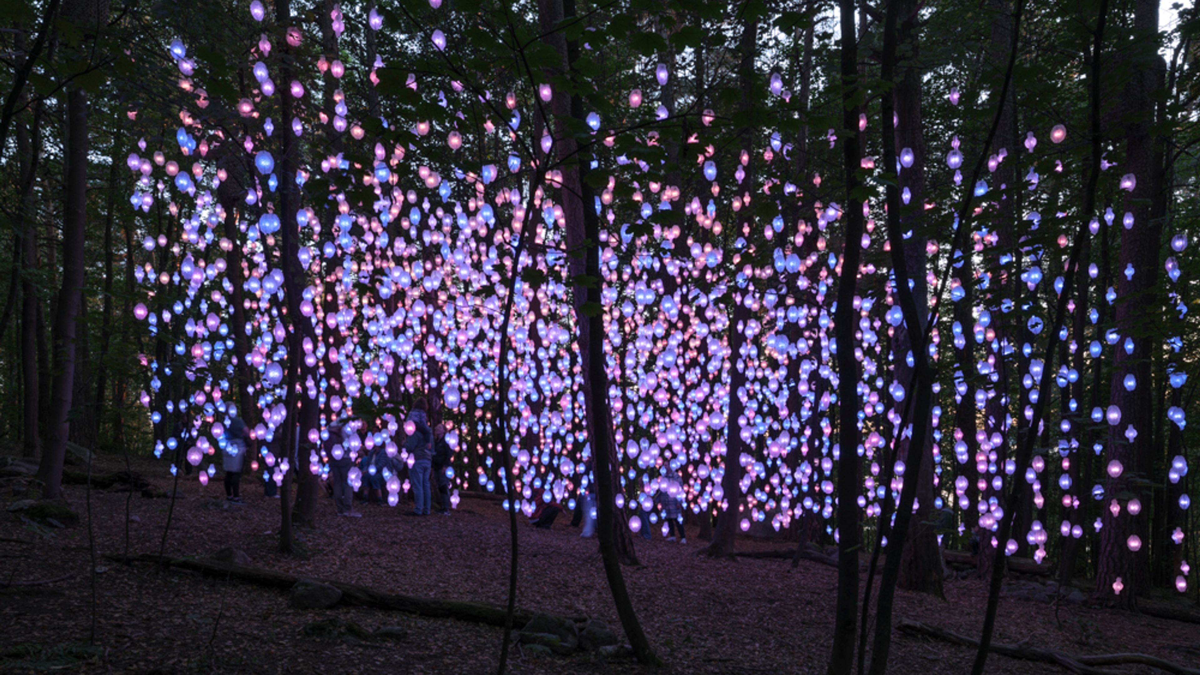 Pipilotti Rist: Nordic Pixel Forest, 2024