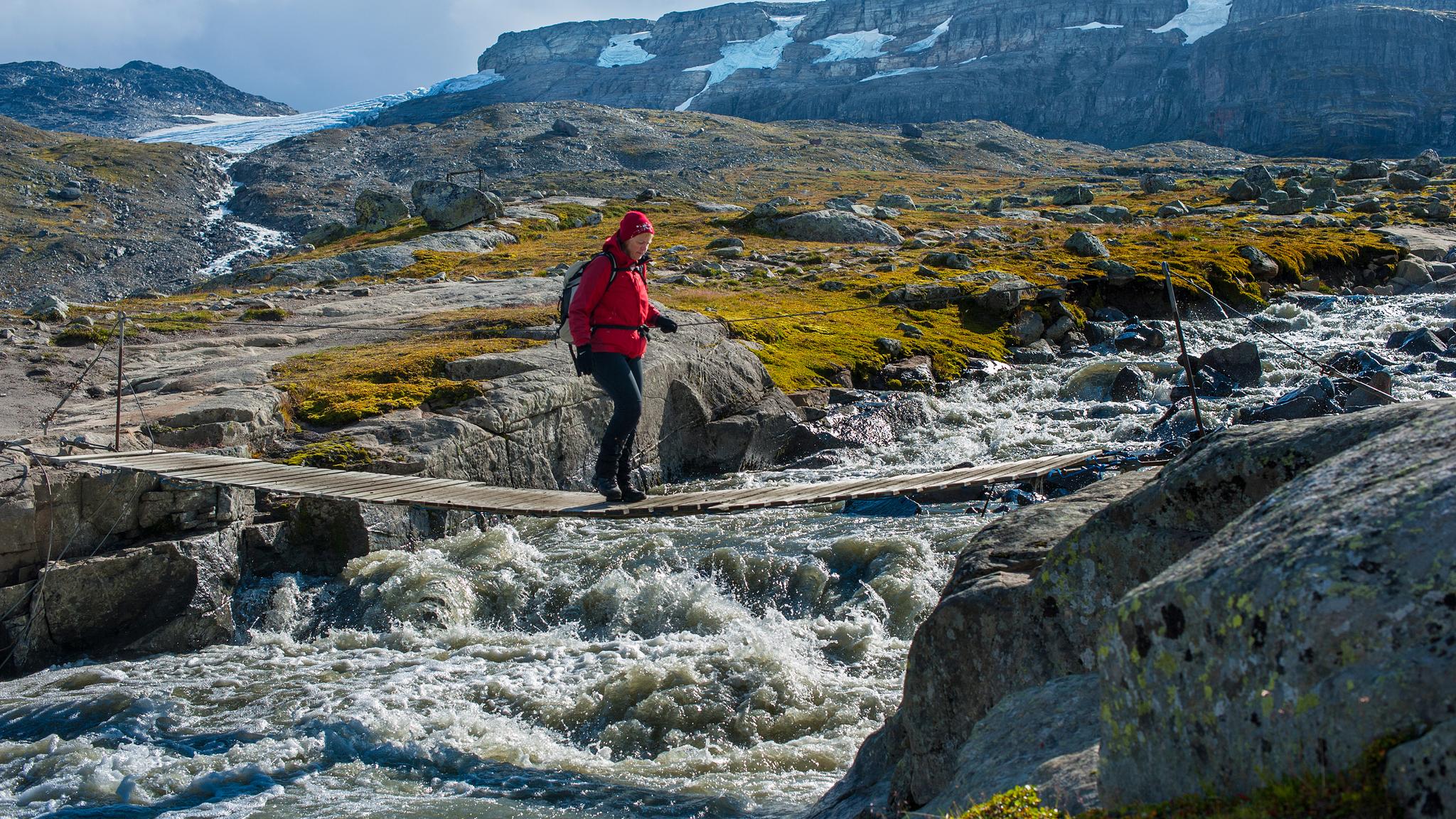 Female hiker crossing a bridge in Hardangervidda