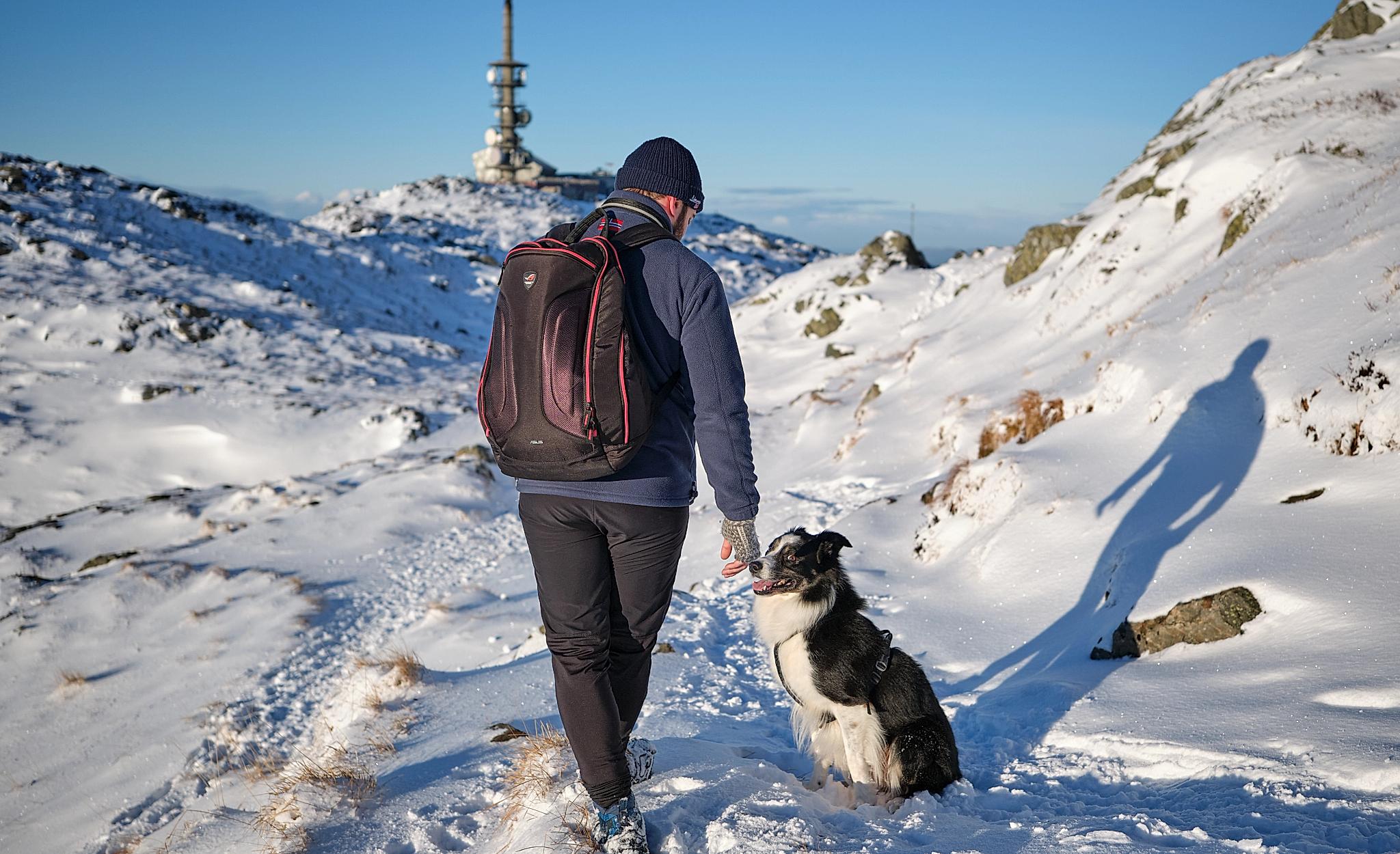 Winter hiking with dog on Mount Ulriken