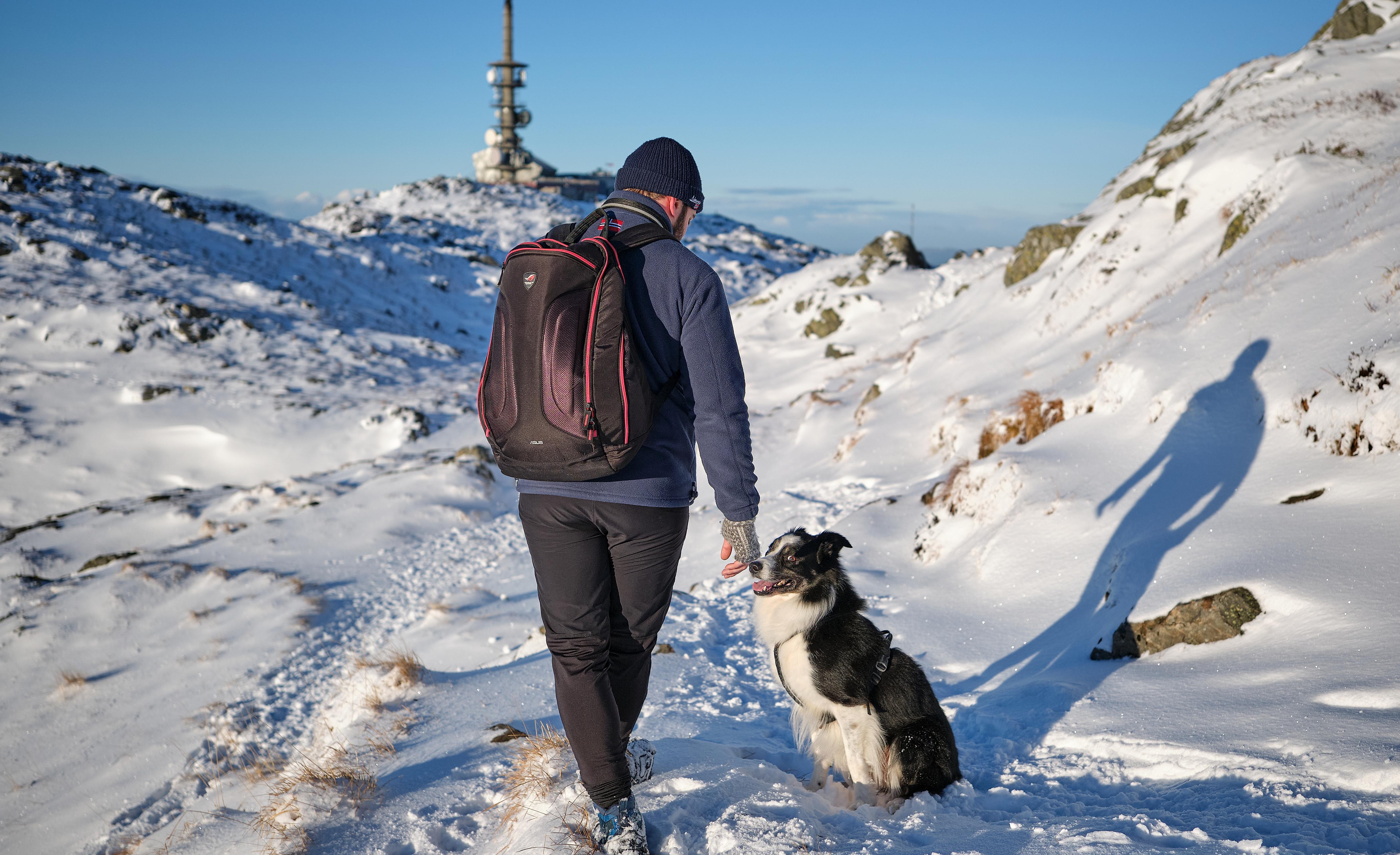 Winter hiking with dog on Mount Ulriken