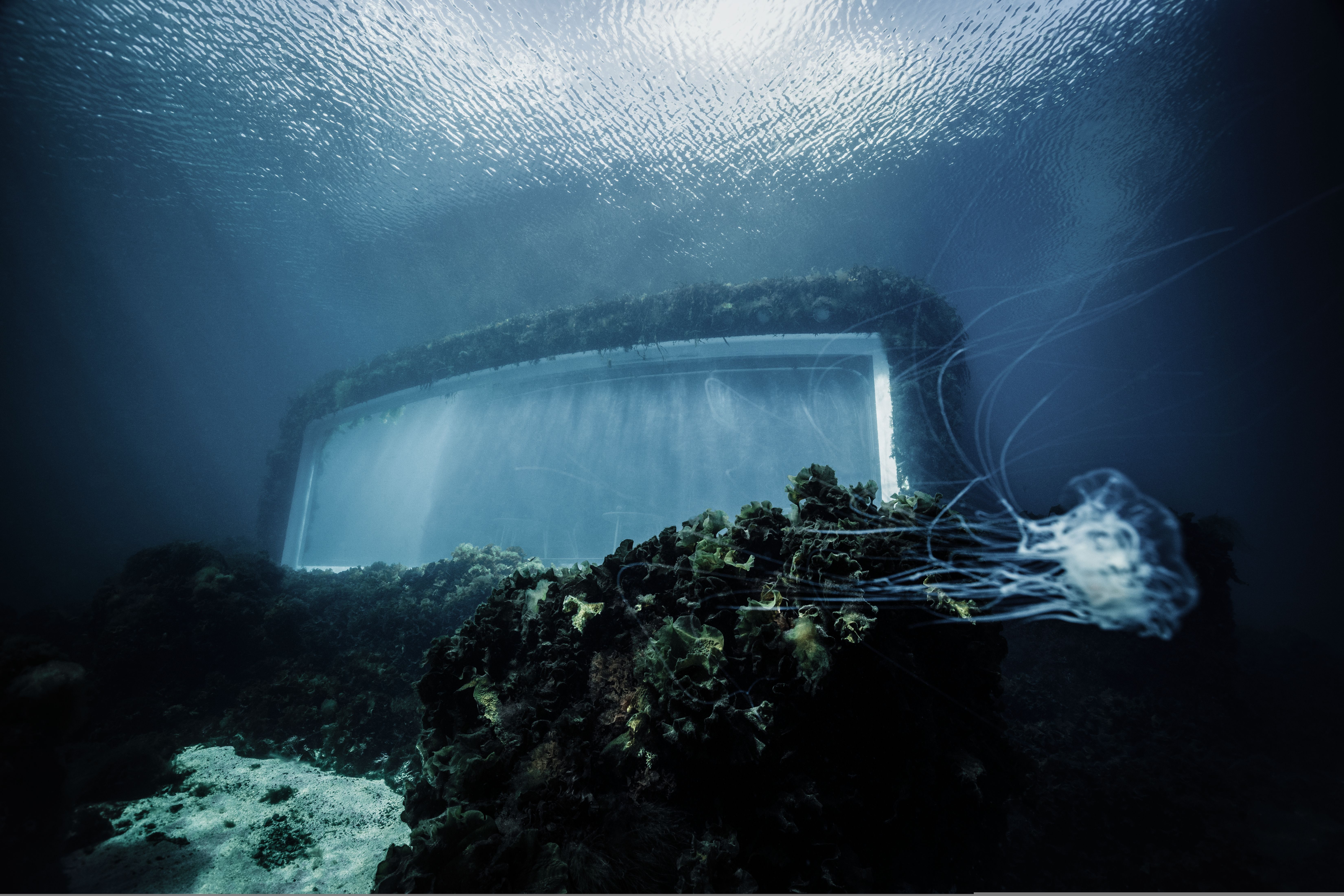 The restaurant Under seen from the under the sea, Southern Norway.