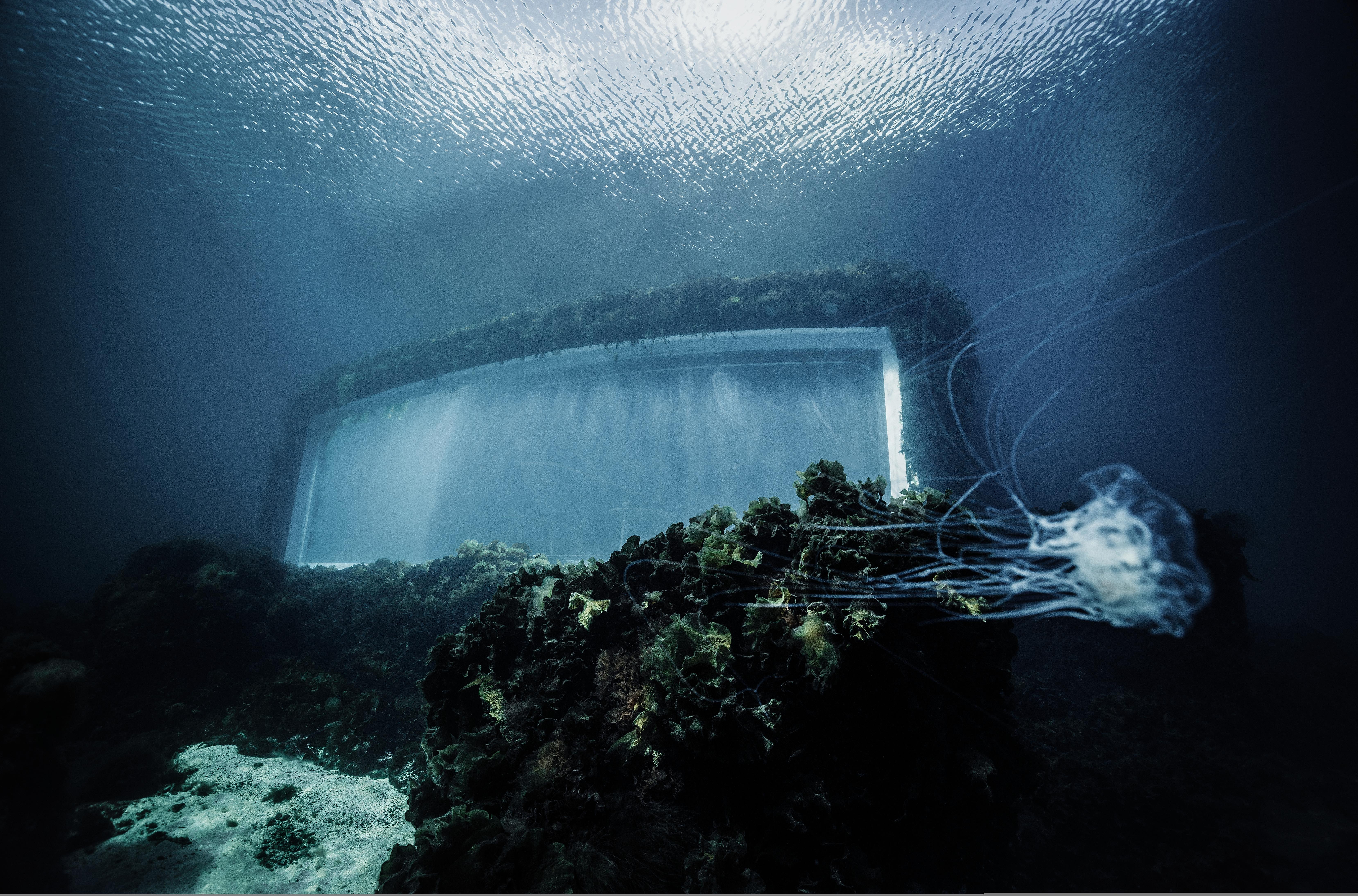 The restaurant Under seen from the under the sea, Southern Norway.