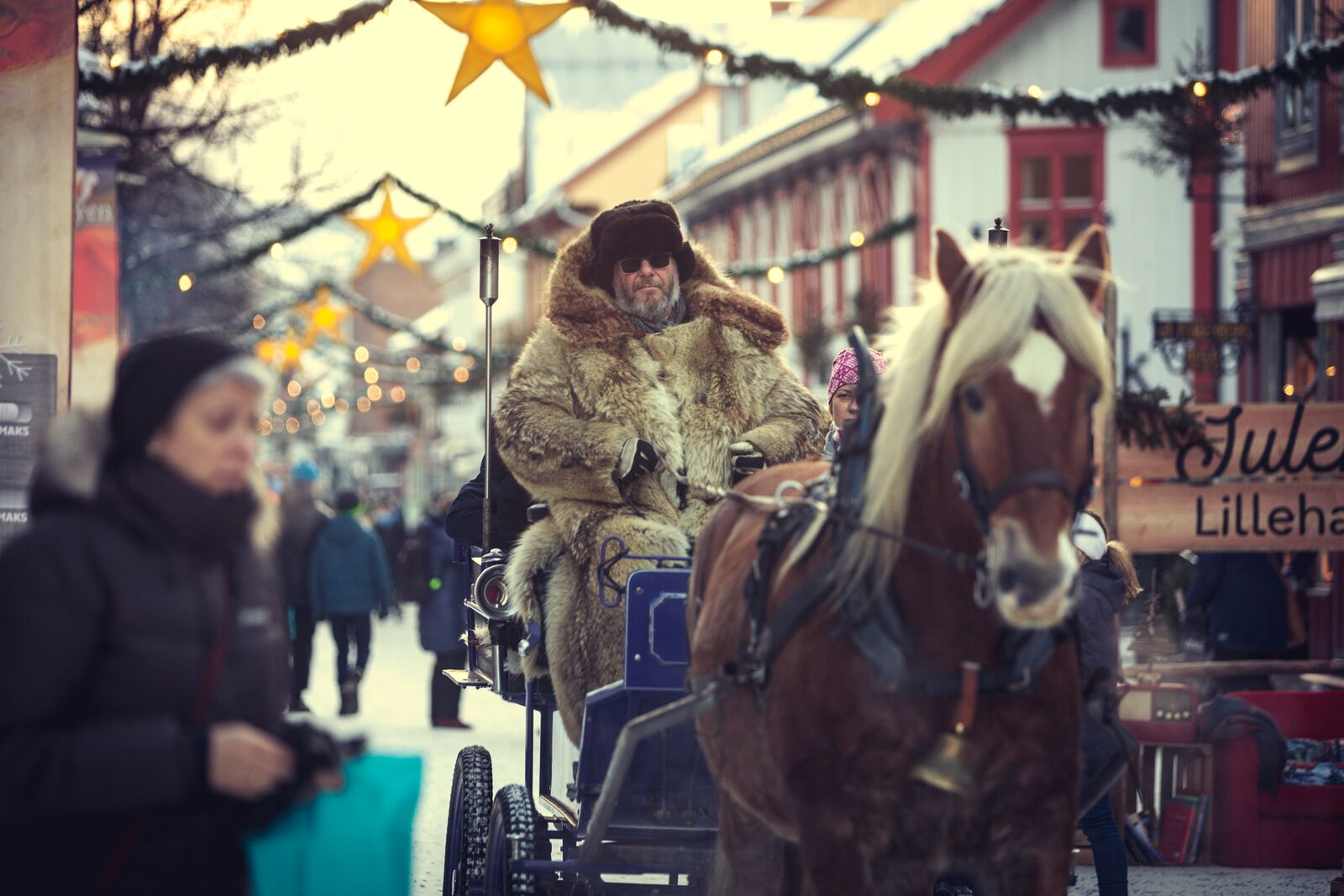 A man driving a horse sledge with Christmas lights in the background.