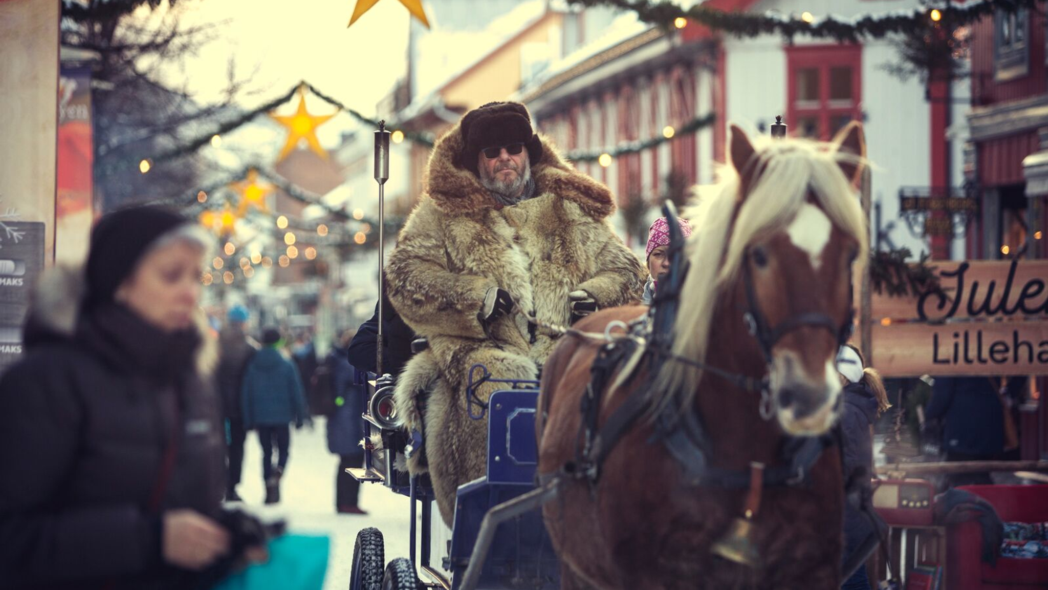 A man driving a horse sledge with Christmas lights in the background.