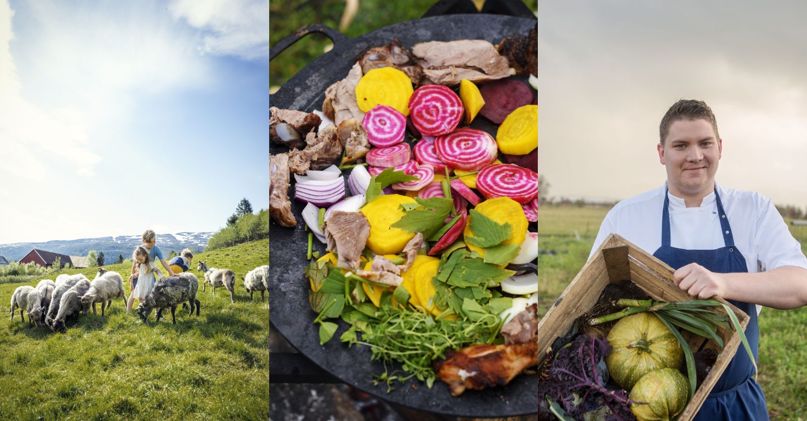 Slow growing countryside in Trøndelag