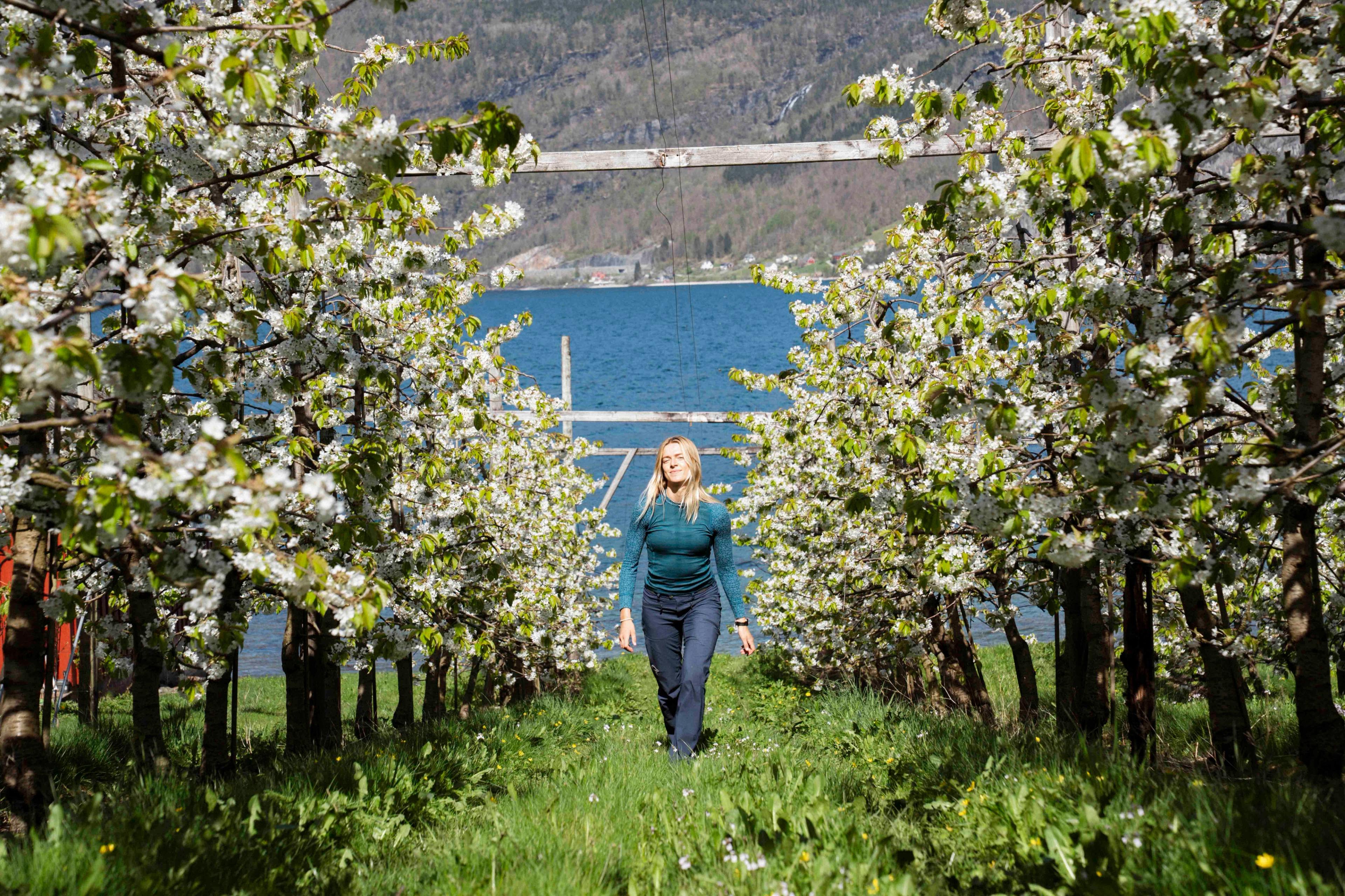 A woman walking in between blooming apple trees.