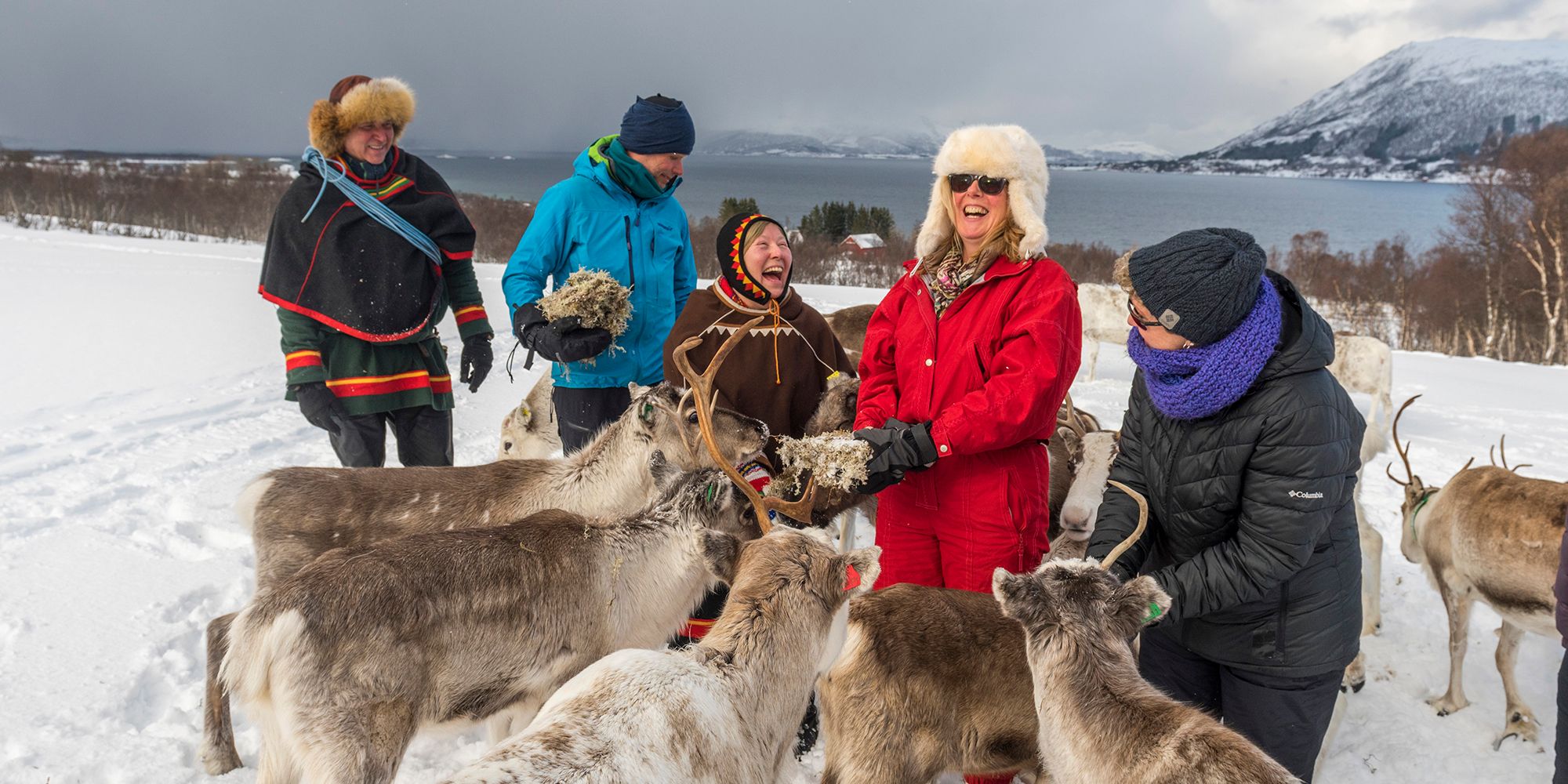 Sami people with reindeer in Sortland, Vesterålen, Northern Norway
