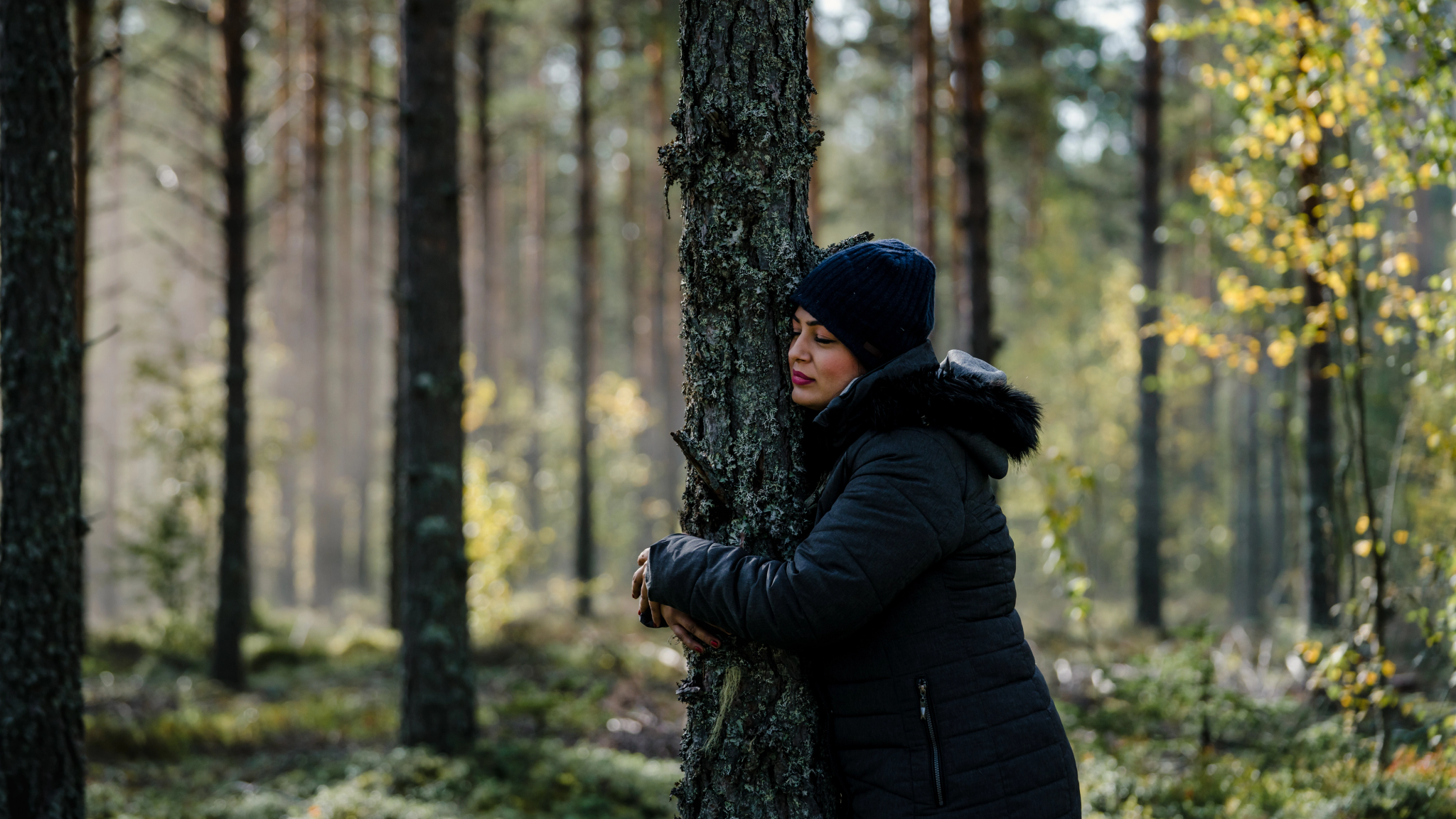 A woman hugging a tree in the Finnskogen forest, Eastern Norway