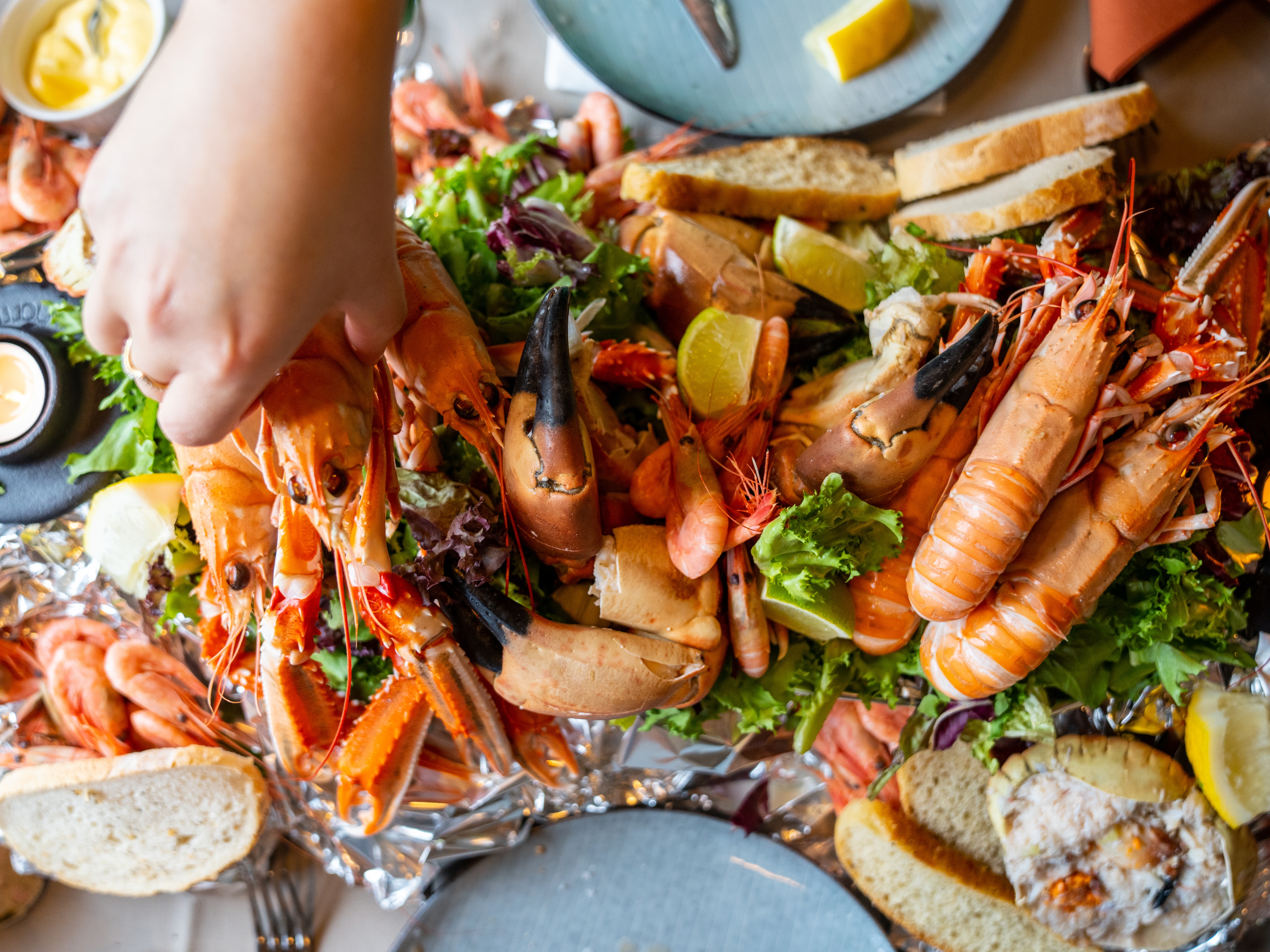 Shellfish feast of crab, shrimp and crayfish at Ansnes Brygger restaurant at Hitra island in Trøndelag