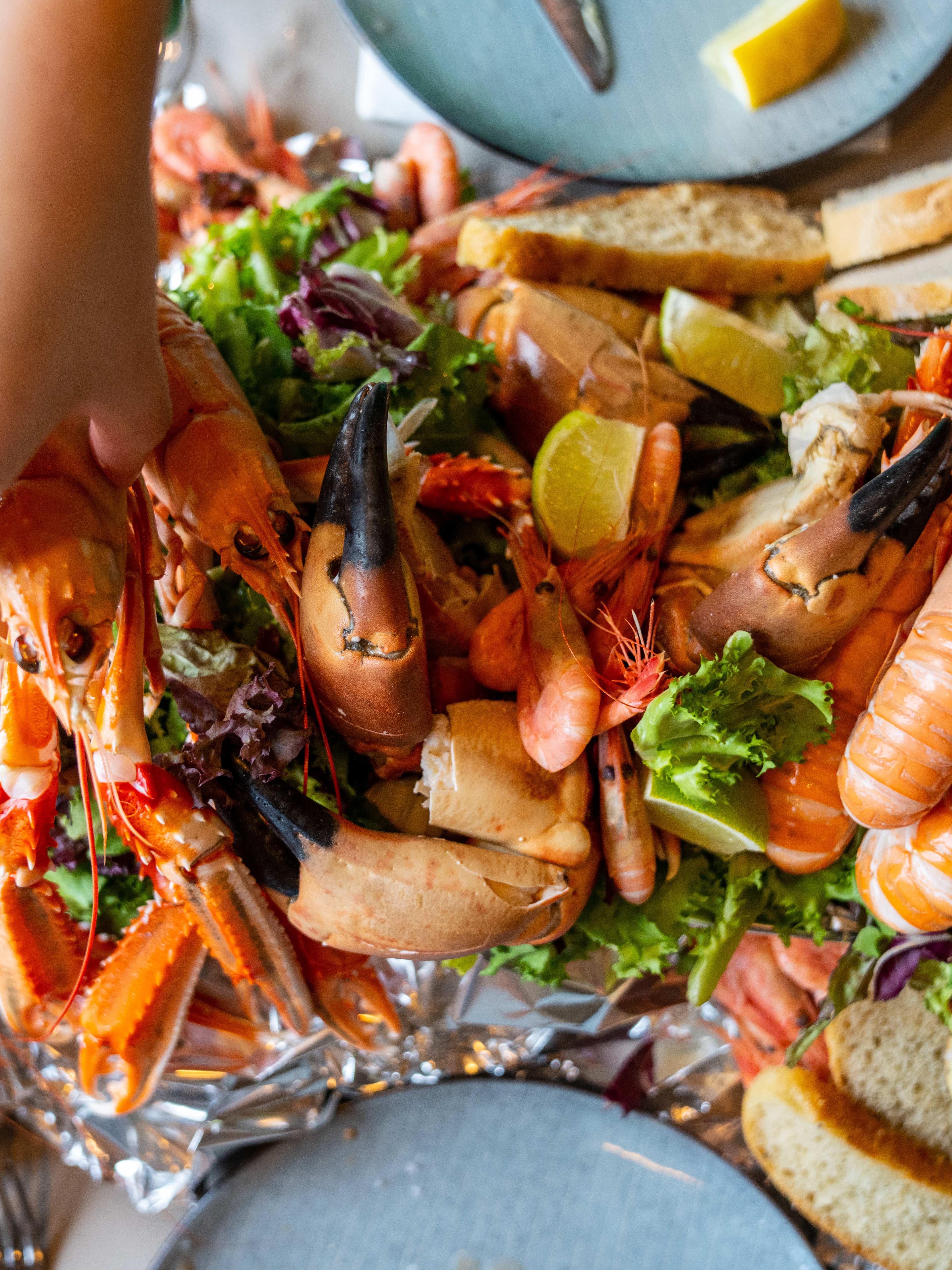 Shellfish feast of crab, shrimp and crayfish at Ansnes Brygger restaurant at Hitra island in Trøndelag