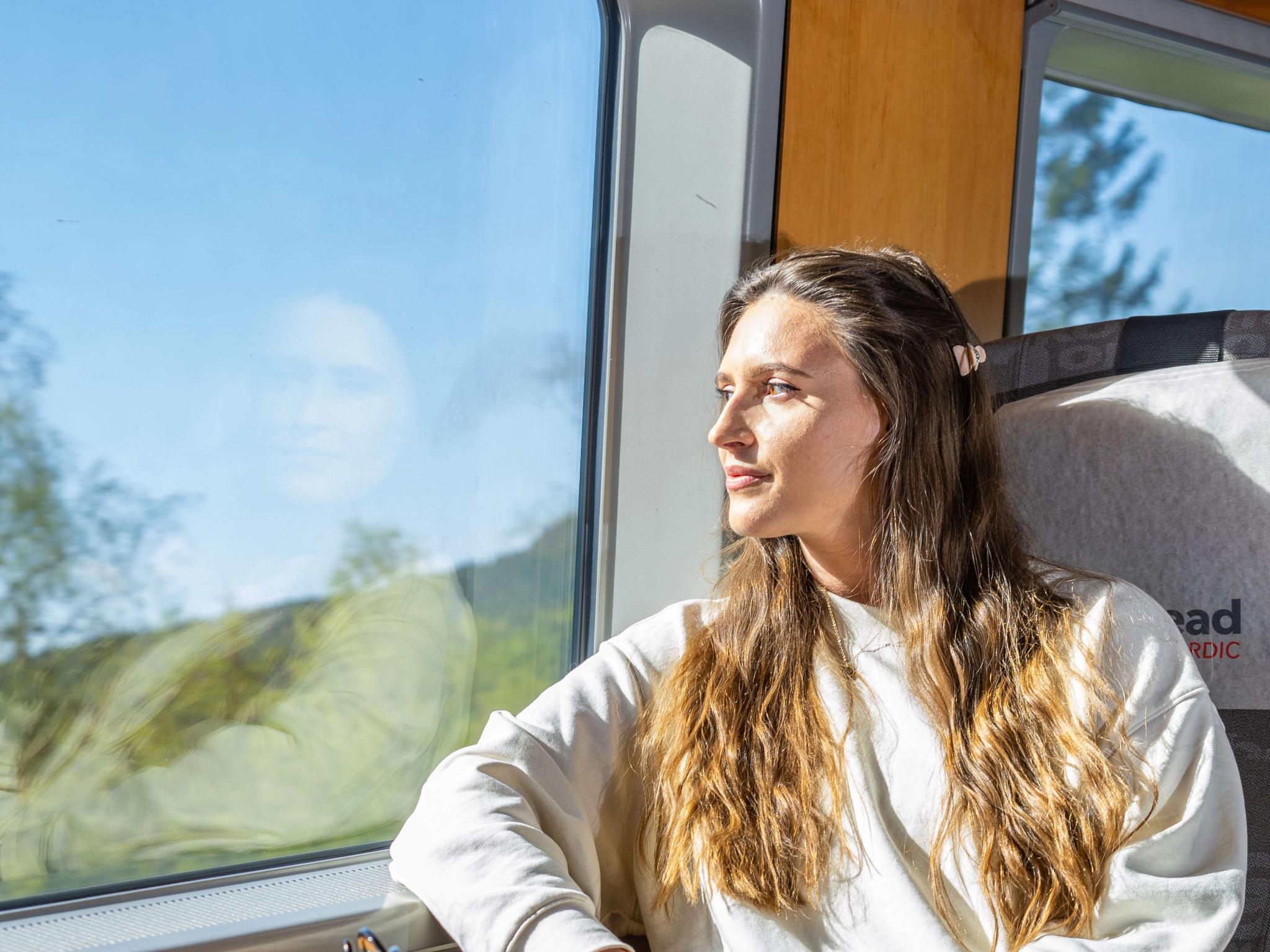 A woman riding the Sørland Line train from Oslo to Stavanger, Norway