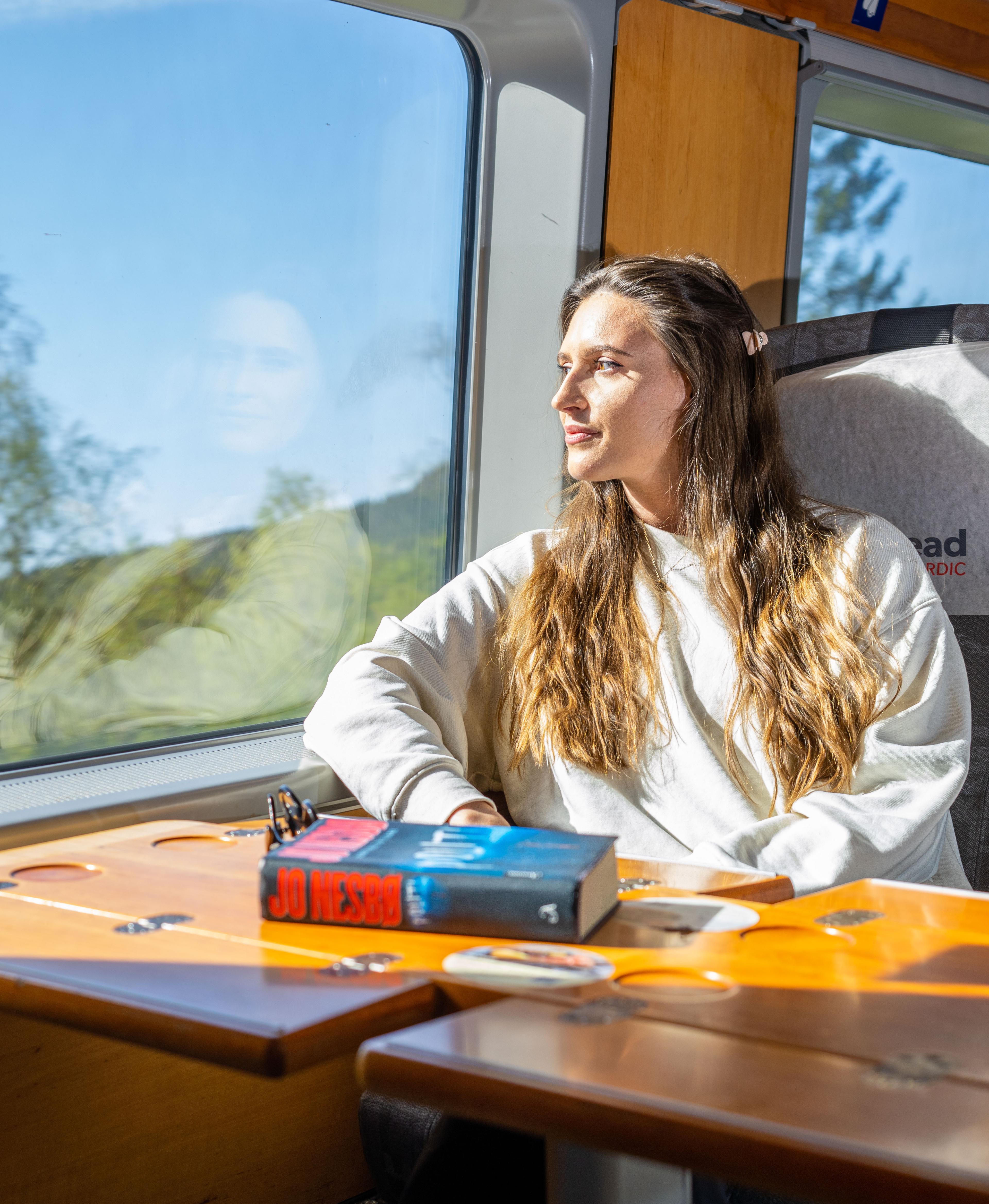 A woman riding the Sørland Line train from Oslo to Stavanger, Norway