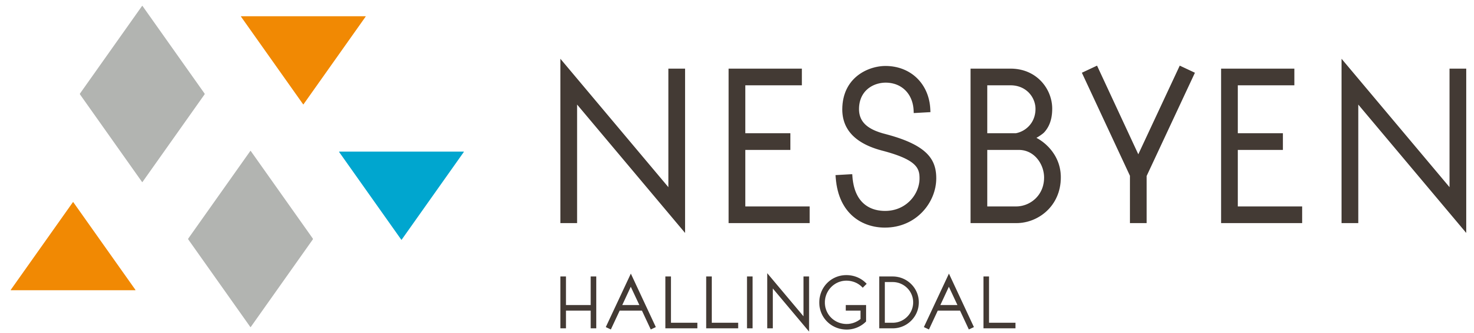 Visit Nesbyen logo