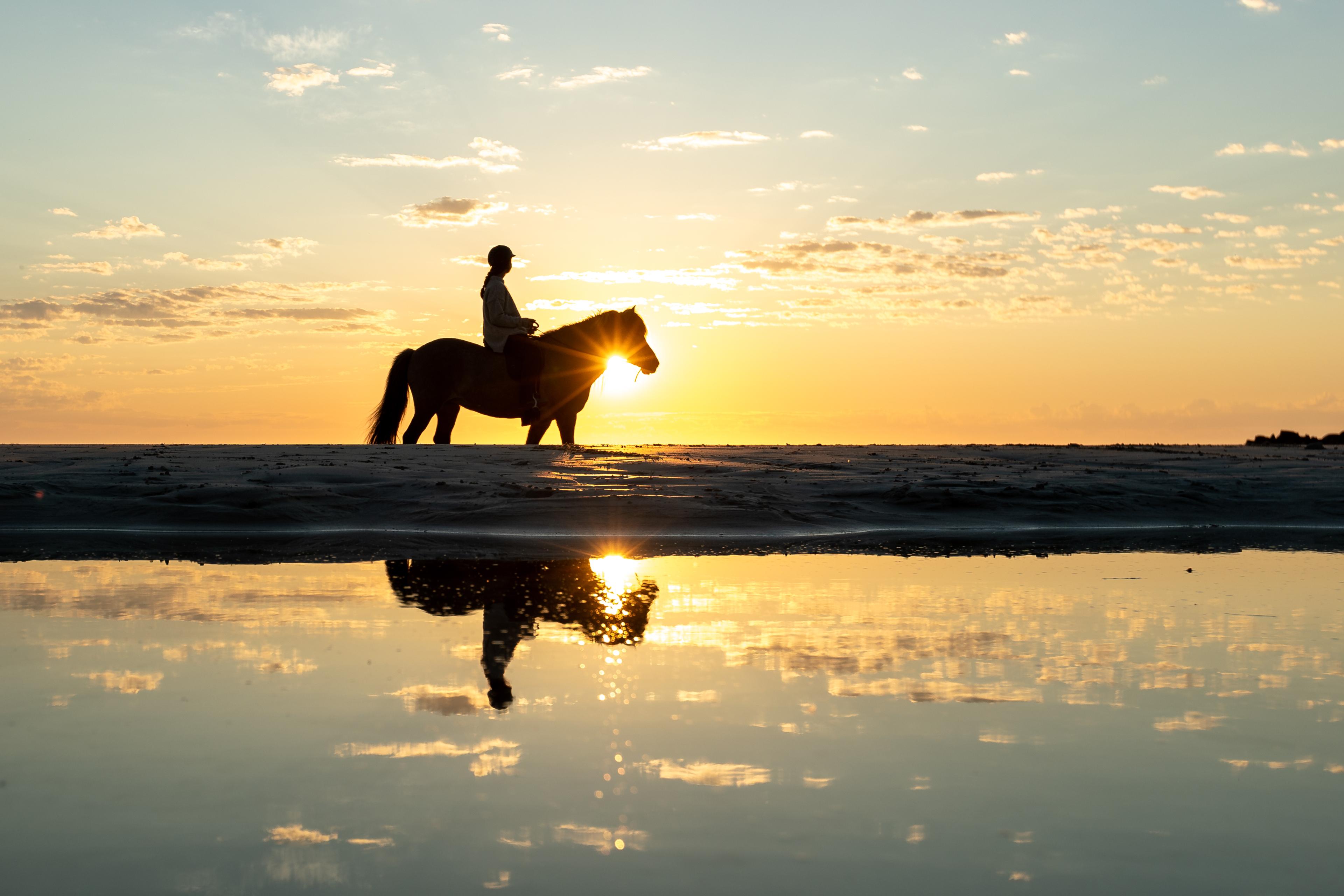 A person horseback riding at a beach at sunset in Lofoten, Northern Norway