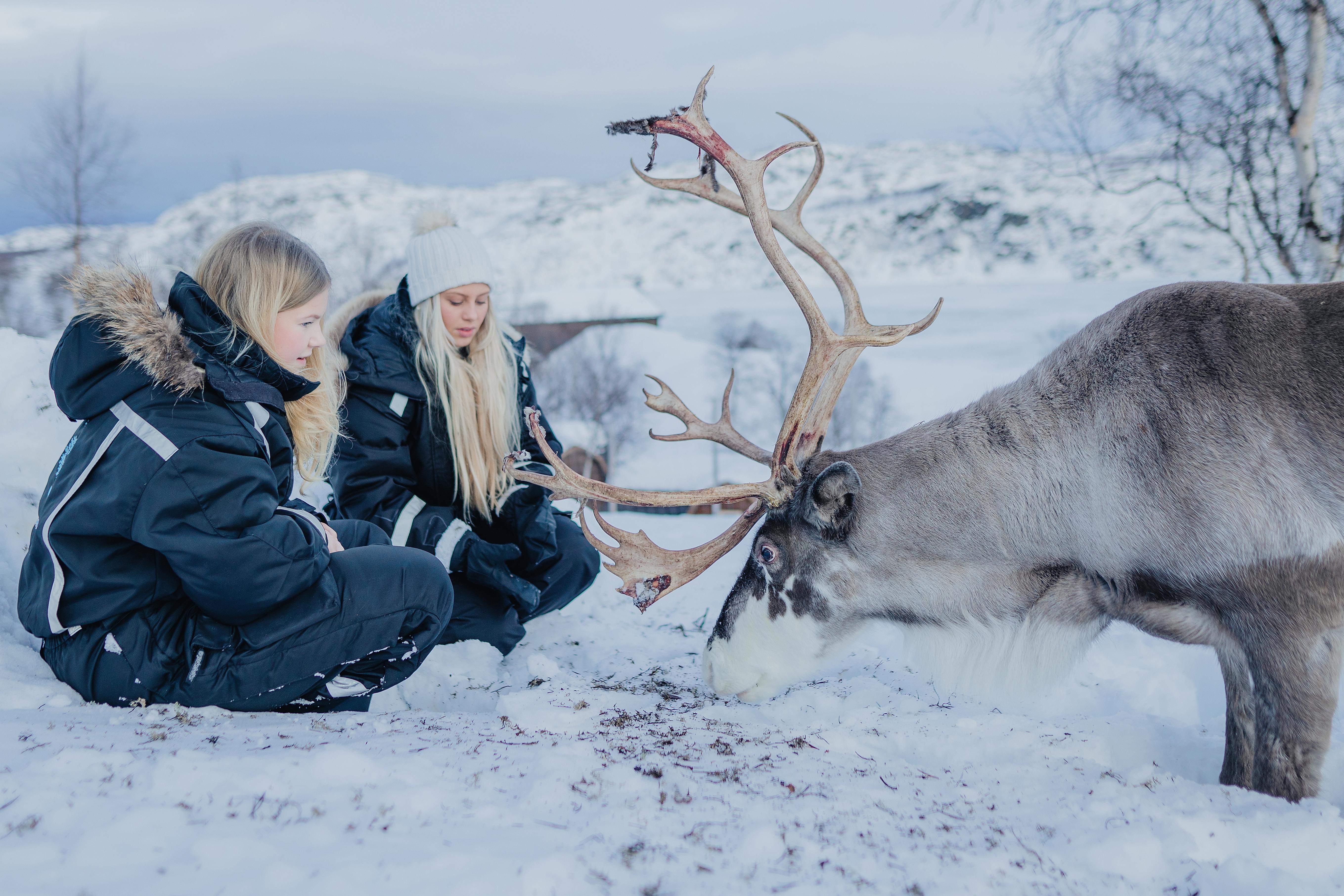 Two girls feeding reindeer at Snowhotel Kirkenes