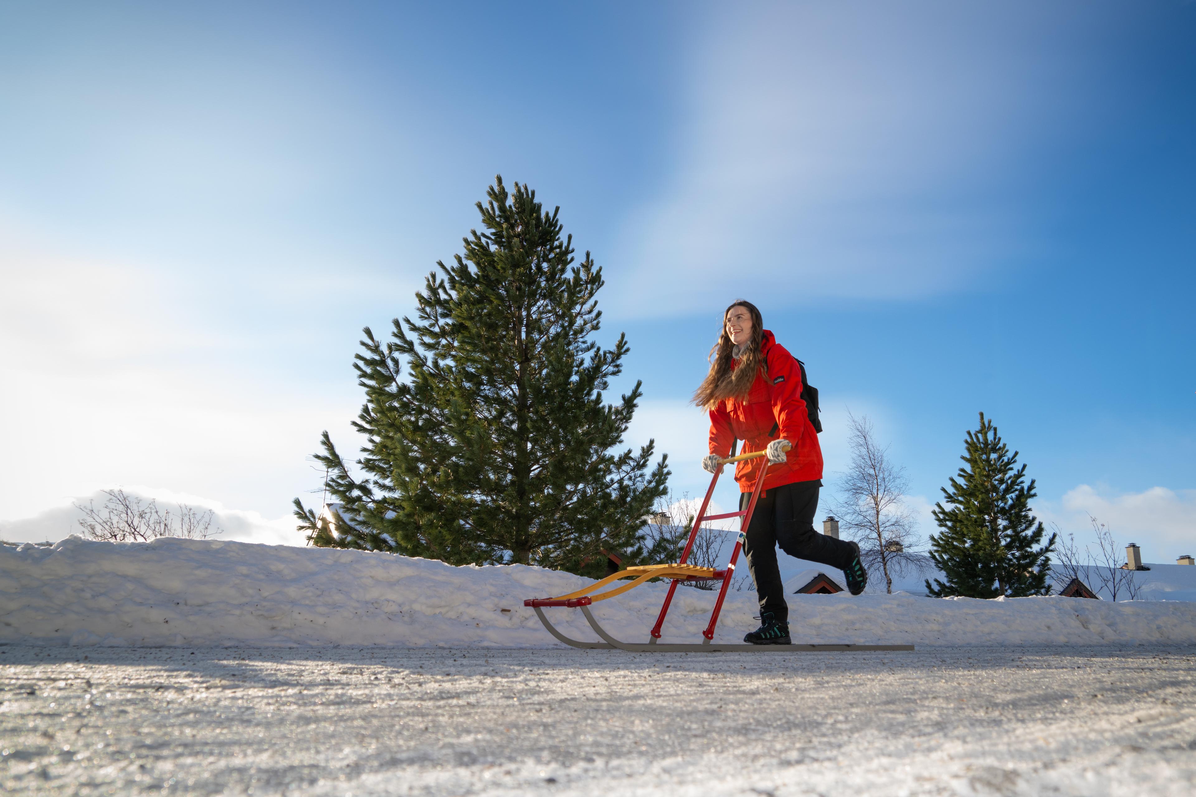 A woman on a kicksled in Geilo, Eastern Norway, Norway.