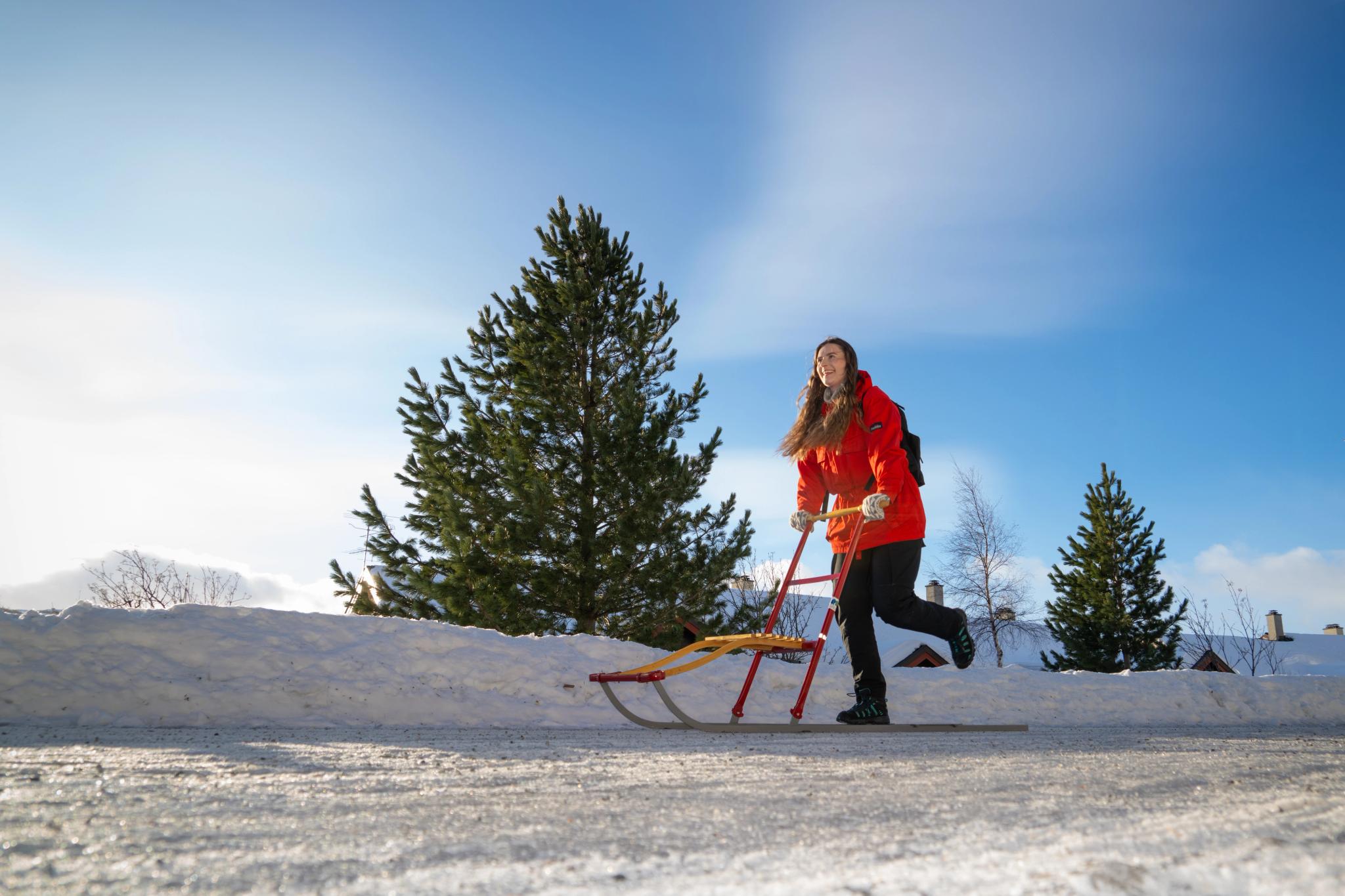 A woman on a kicksled in Geilo, Eastern Norway, Norway.