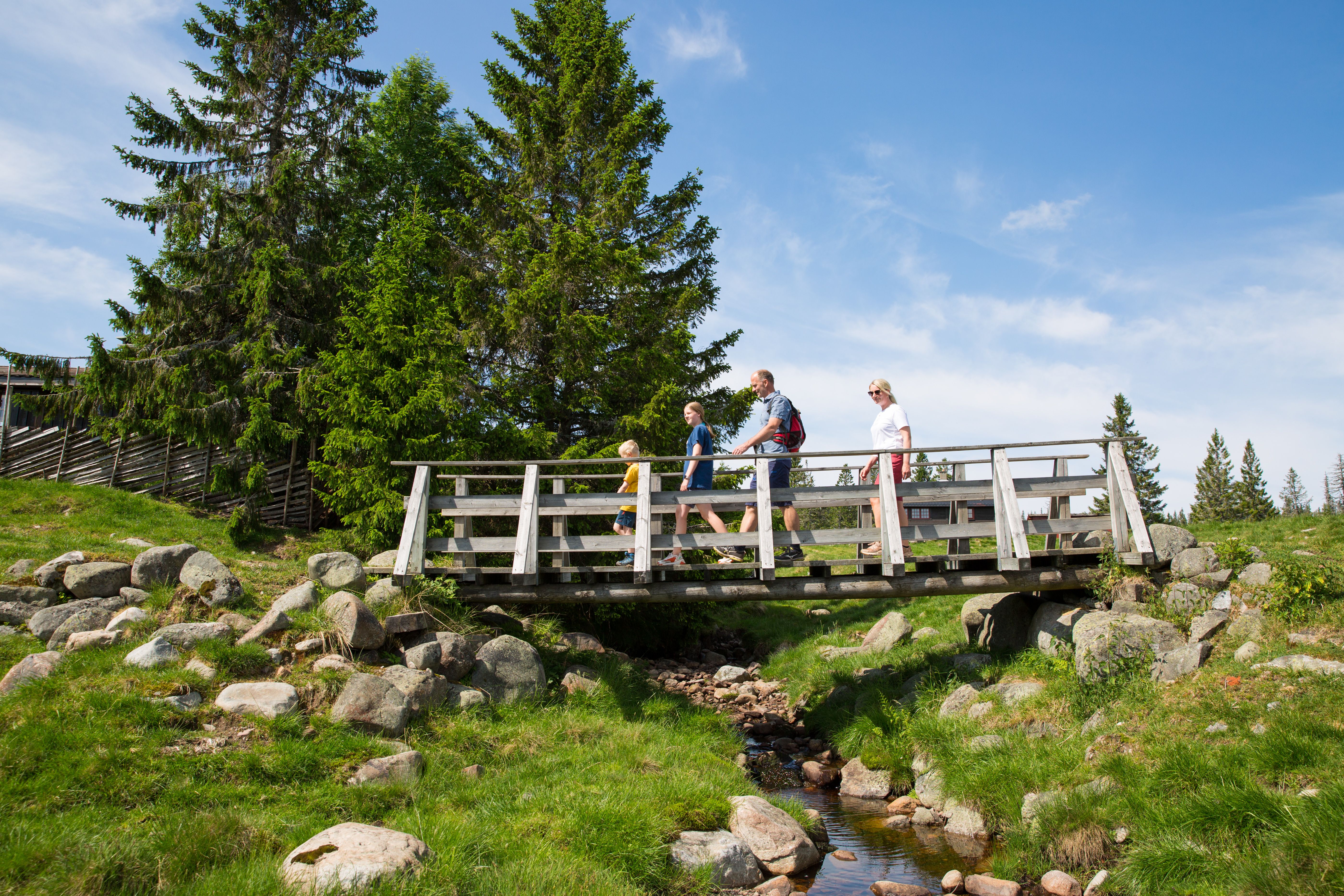 Hiking at Budor in the Hamar region, Eastern Norway