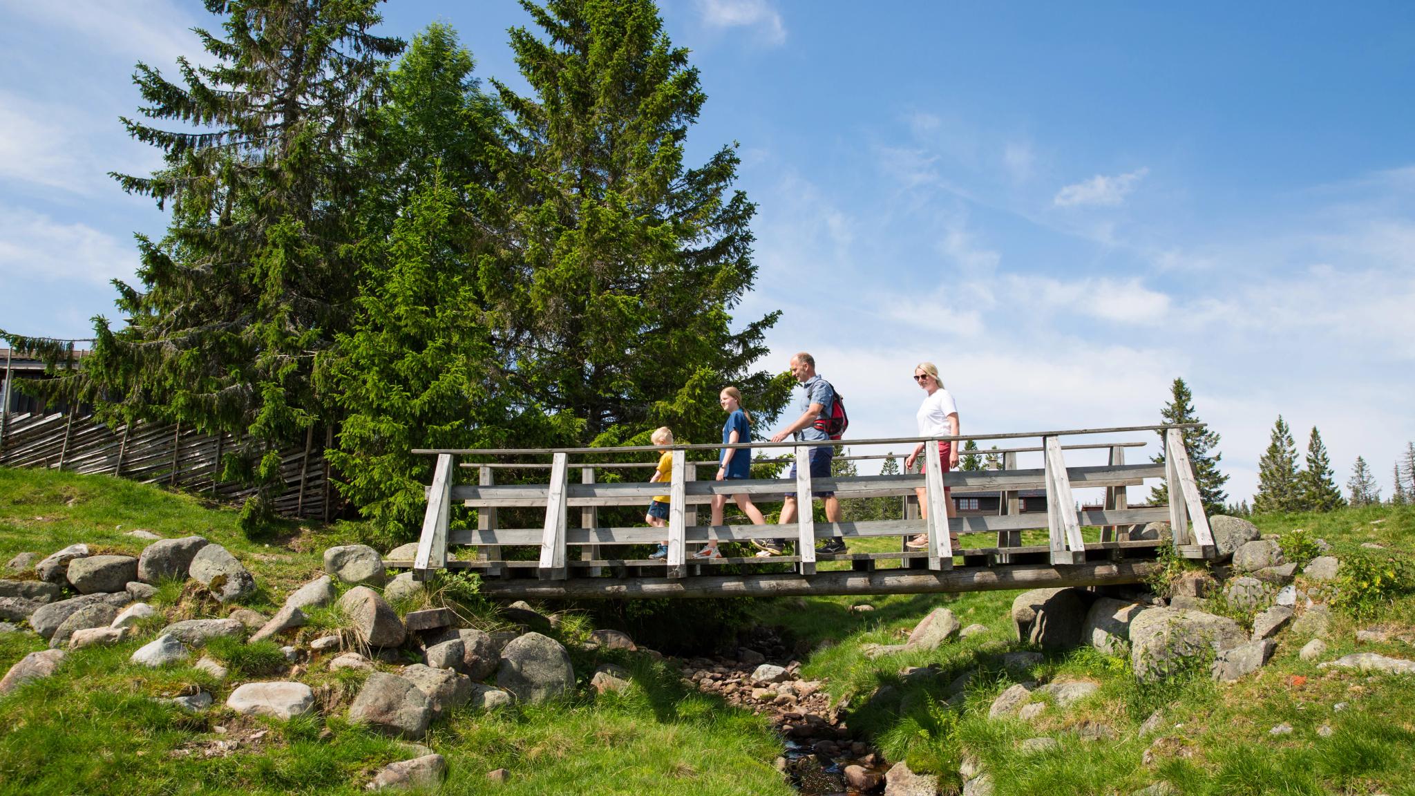 Hiking at Budor in the Hamar region, Eastern Norway