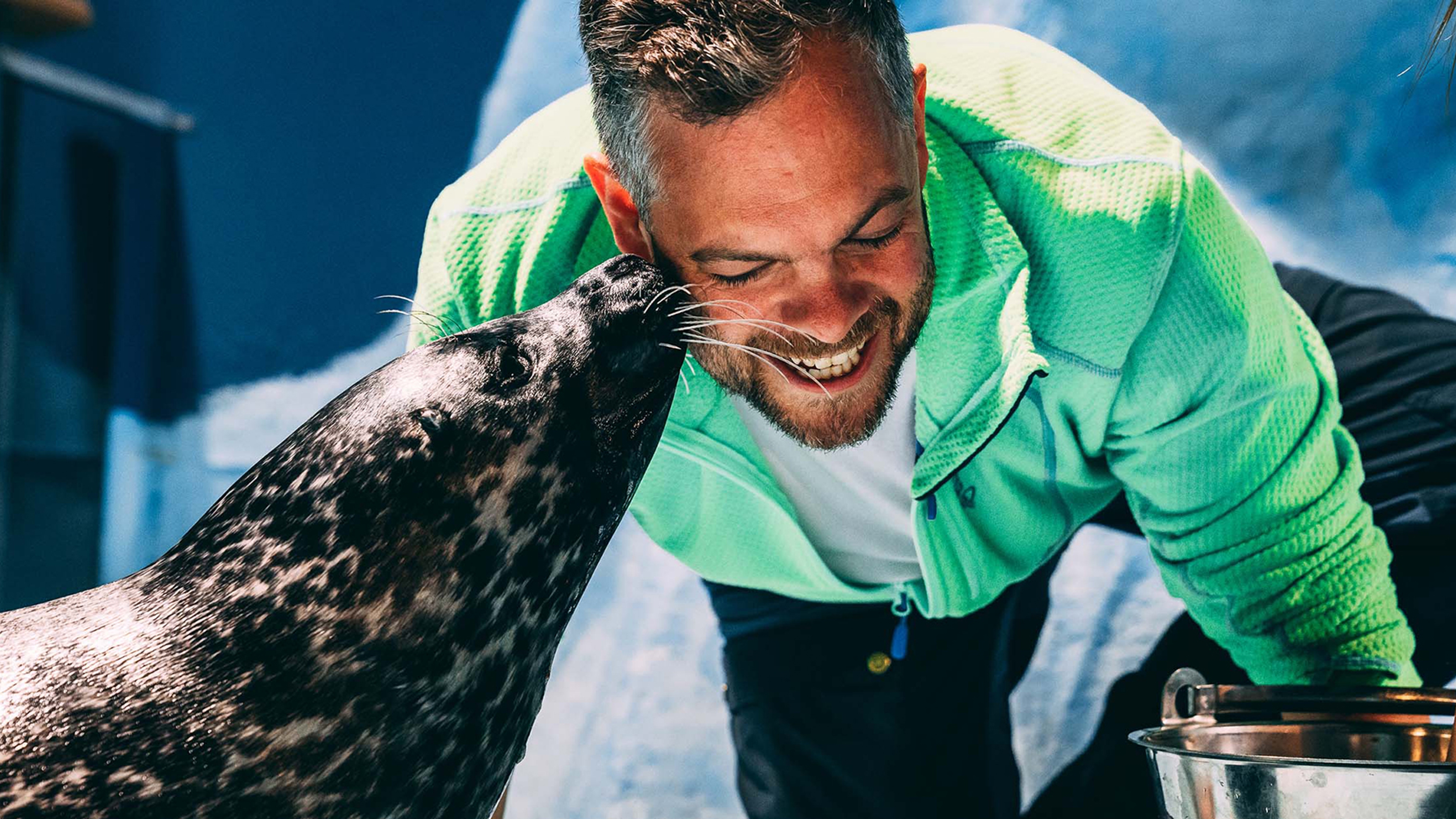 A seal is kissing his caretaker on the cheek at Polaria, the world's northernmost aquarium, in Tromsø, Northern Norway.