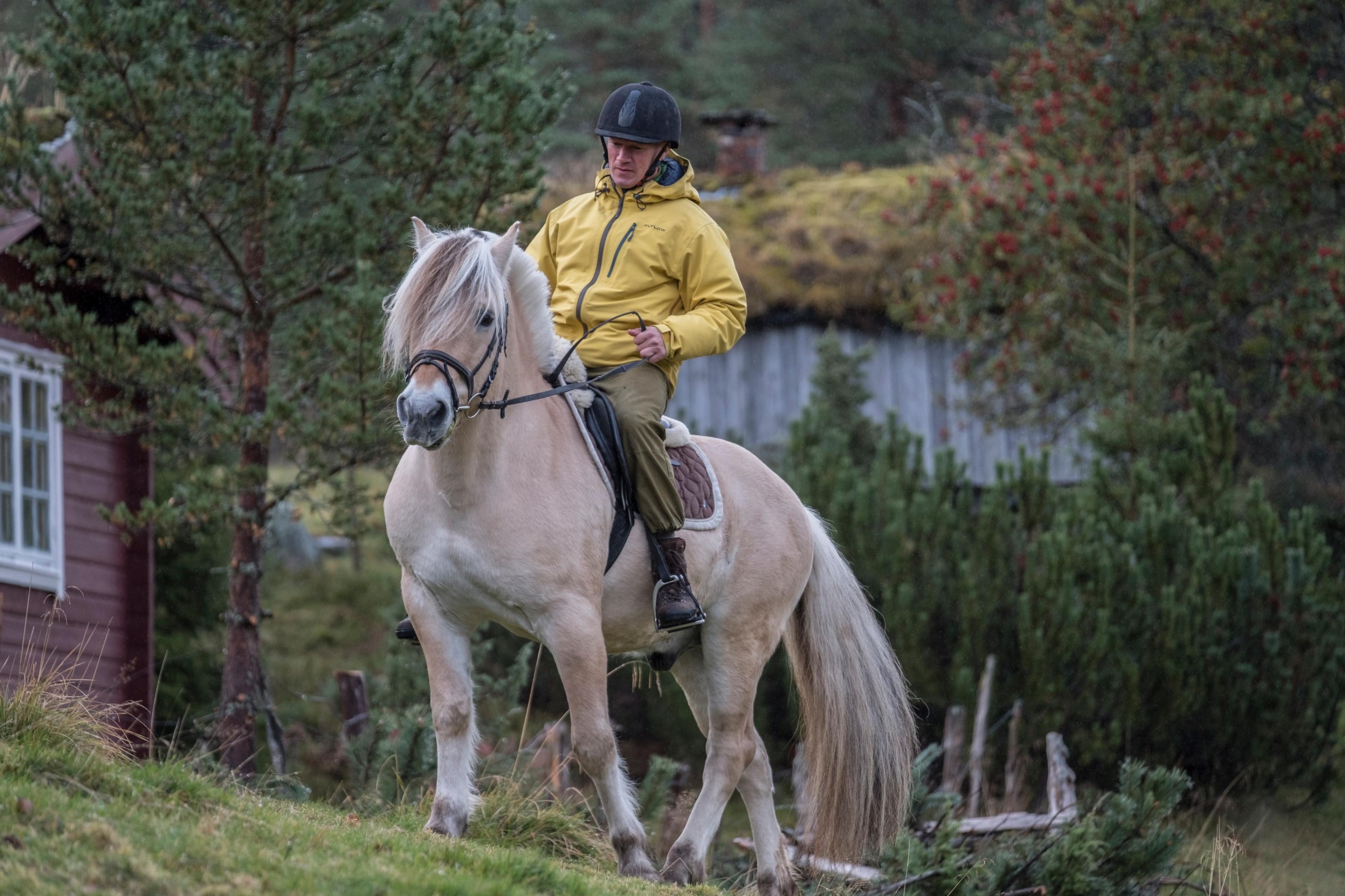 A man riding a Fjord horse in Norway