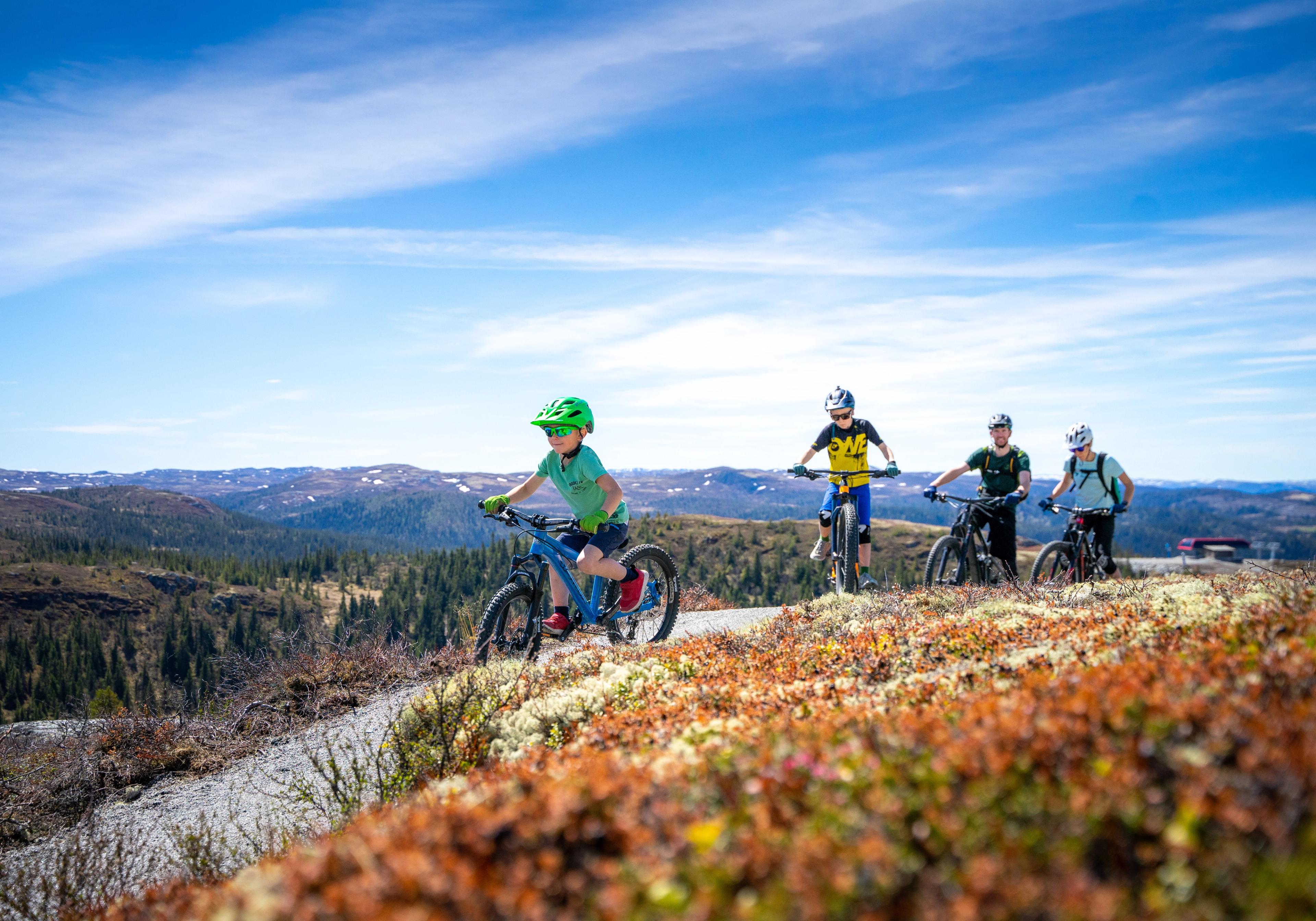 A family cycling in Hallingspranget, Eastern Norway.