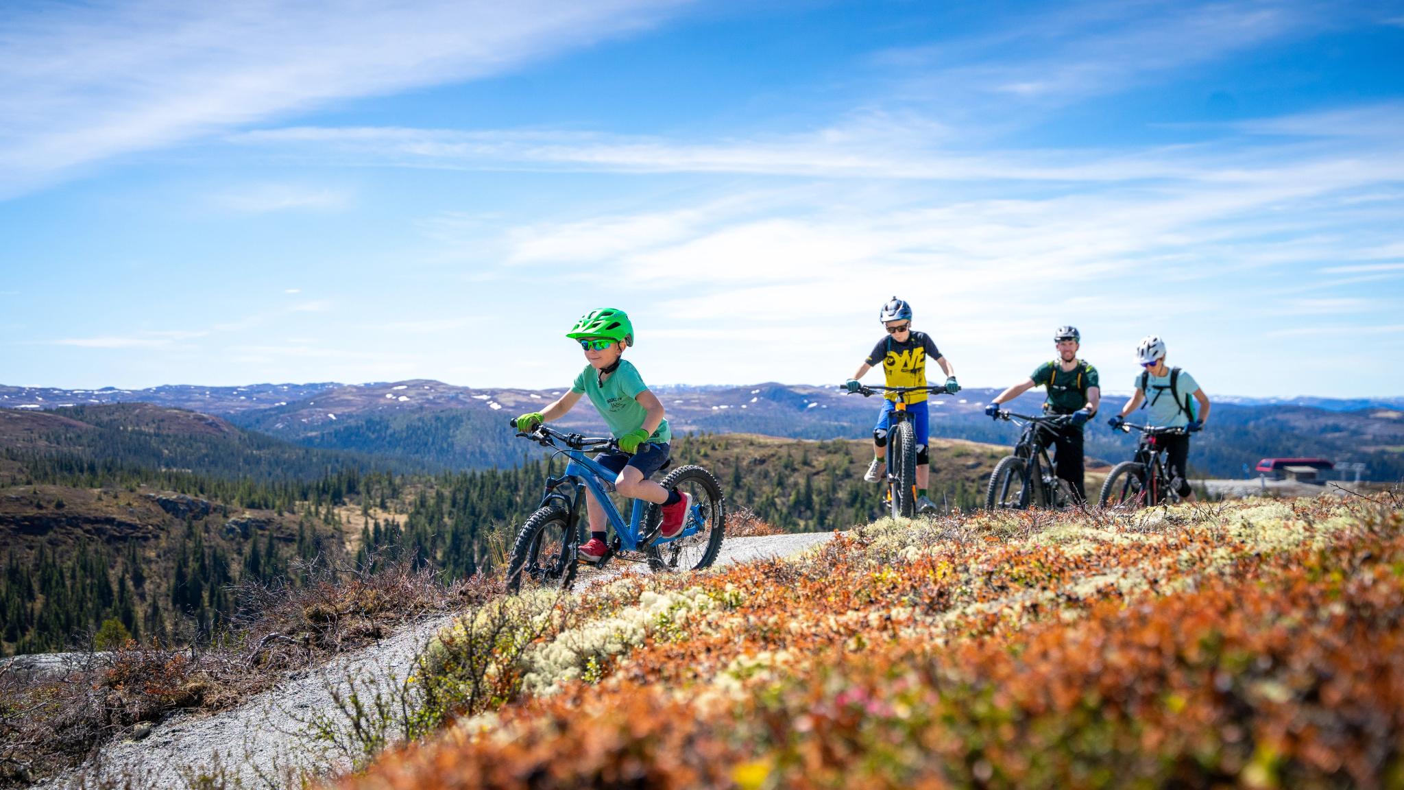 A family cycling in Hallingspranget, Eastern Norway.