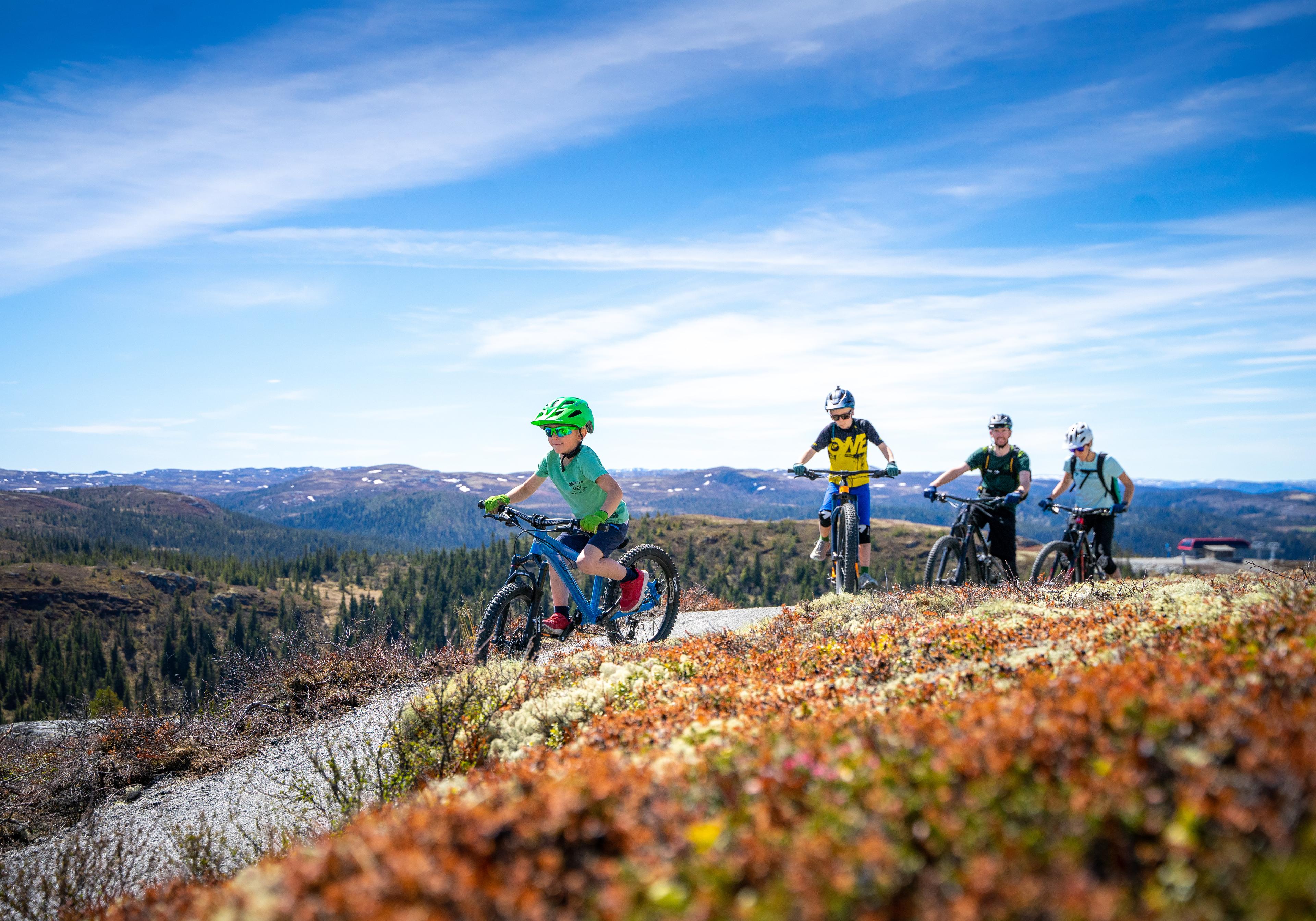 A family cycling in Hallingspranget, Eastern Norway.