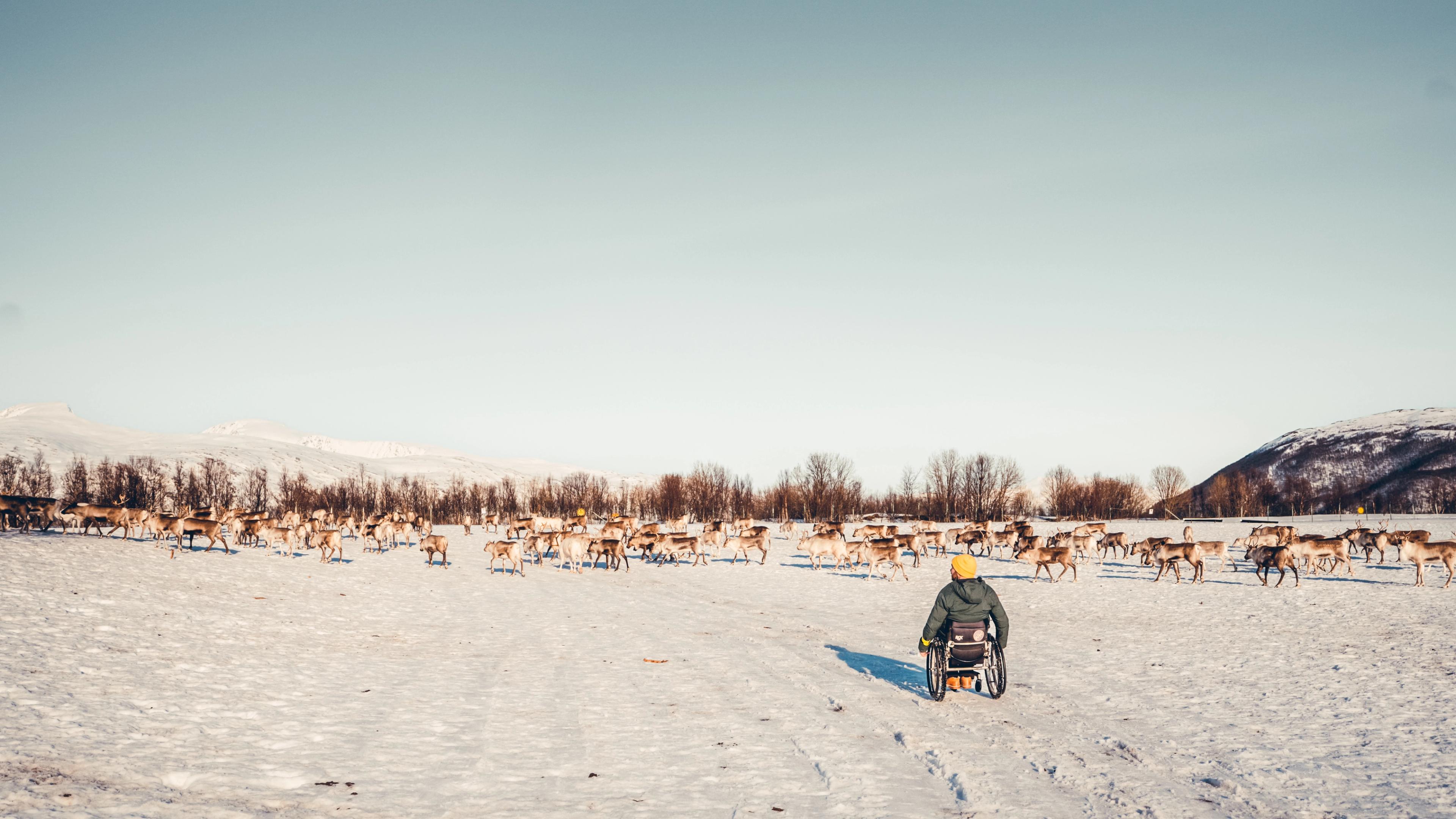 Wheeled World / Pierre meeting the reindeers in Tromsø, Northern Norway
