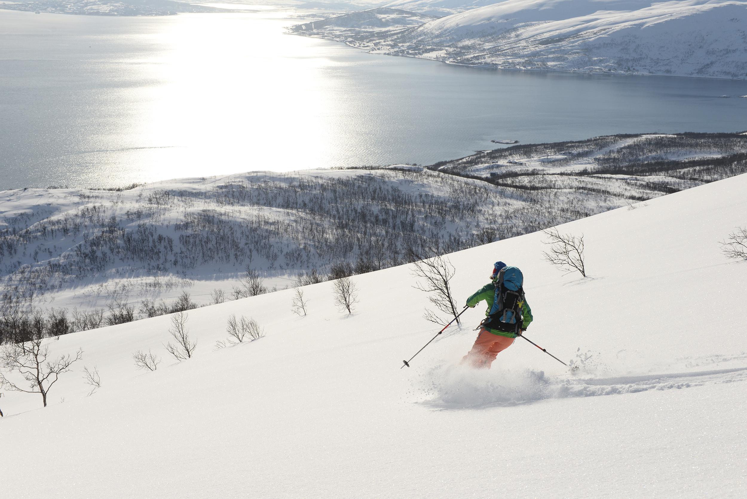 A person does off-piste skiing with a view of the sea at Gammelgårdsfjellet, Tromsø, Northern Norway