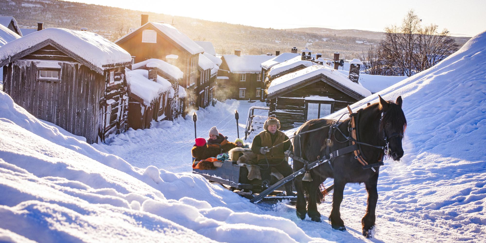 Three people riding a horse and sleigh at Røros a cold winter day
