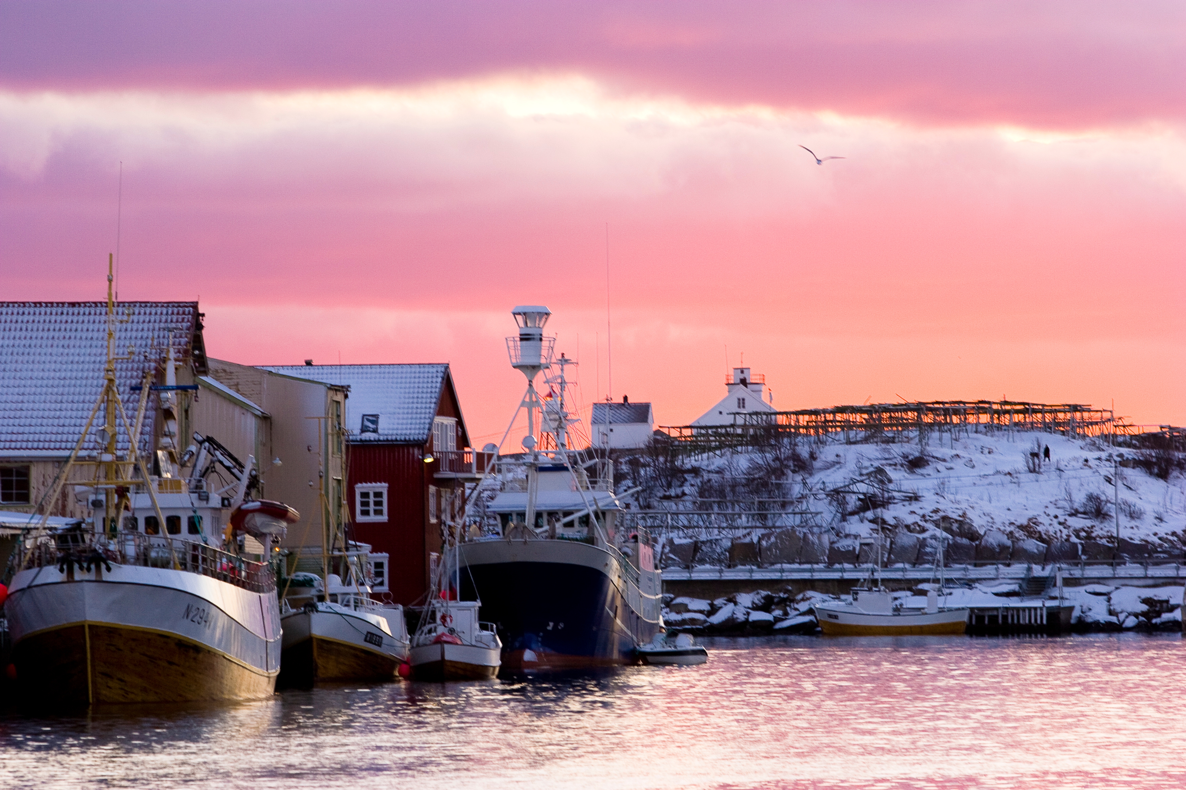 Henningsvær harbour at sunset in winter, Lofoten, Northern Norway