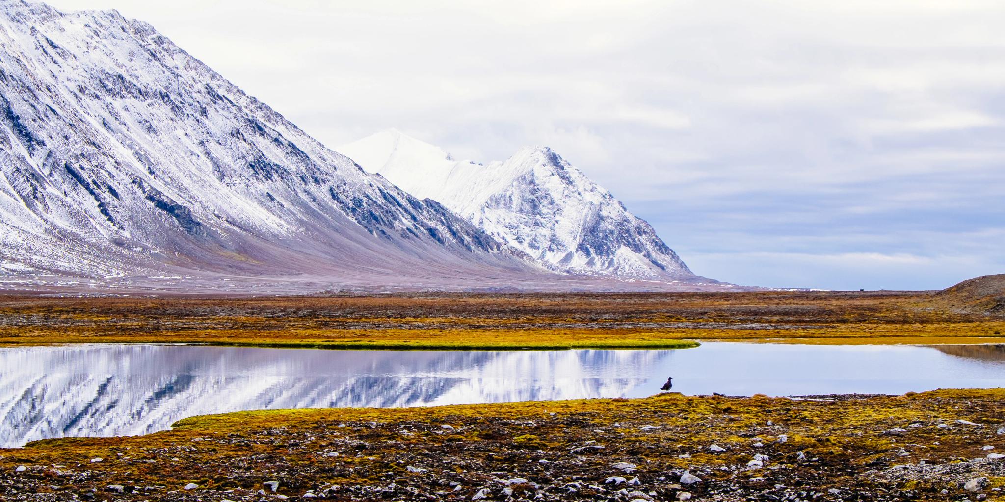 Far Out in Svalbard by Up Norway