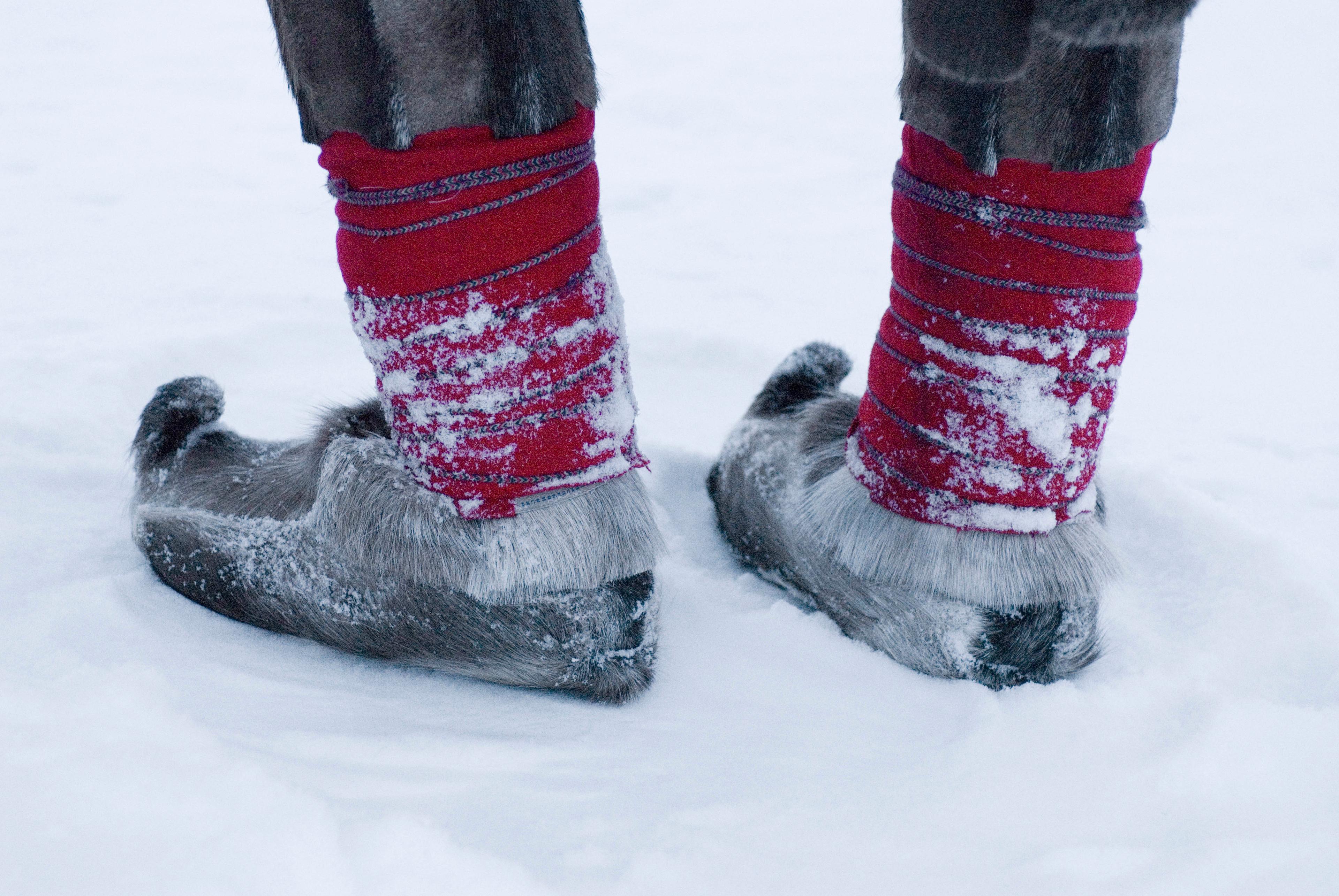 Sami traditional shoes made from reindeer skin
