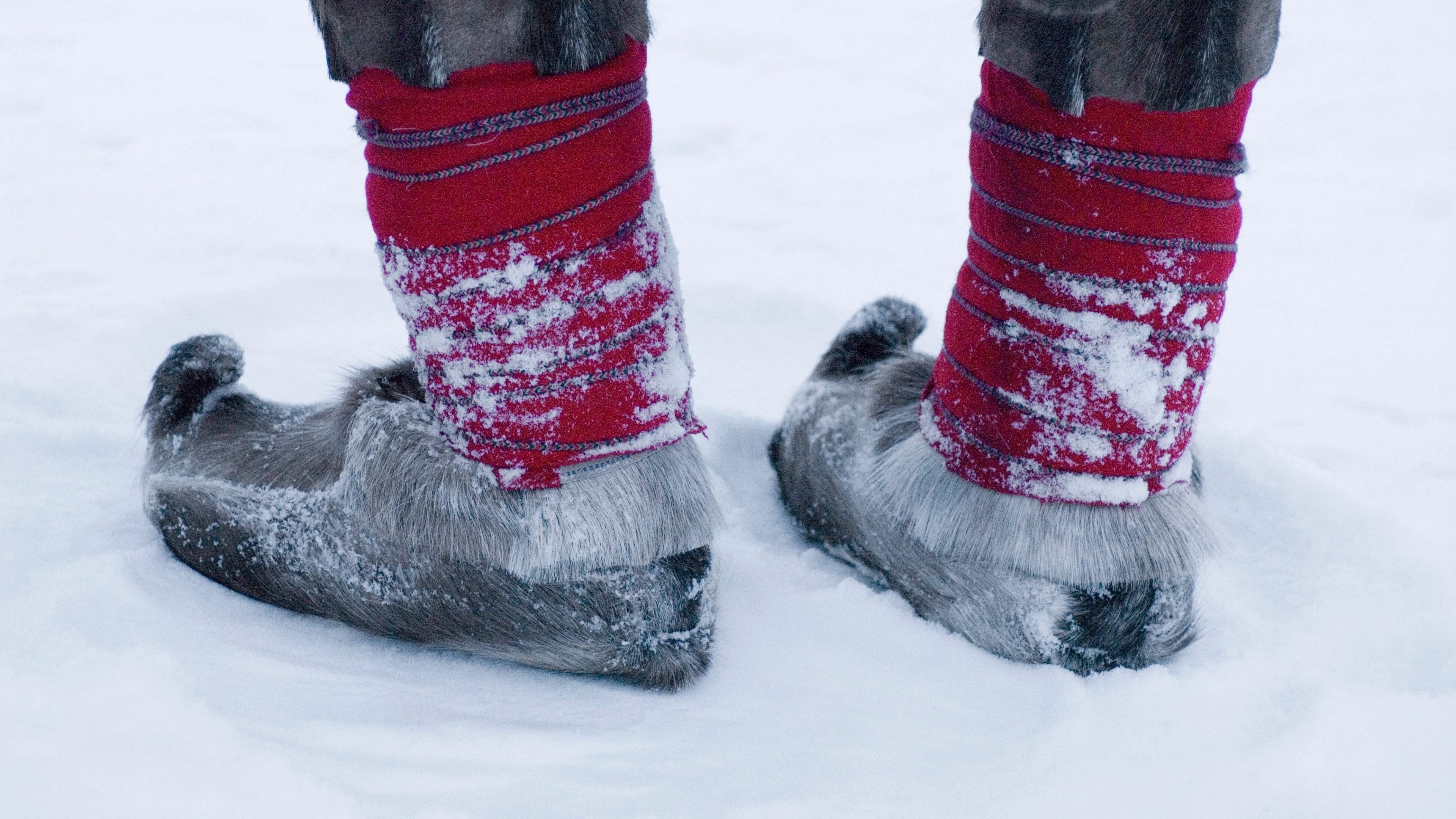 Sami traditional shoes made from reindeer skin