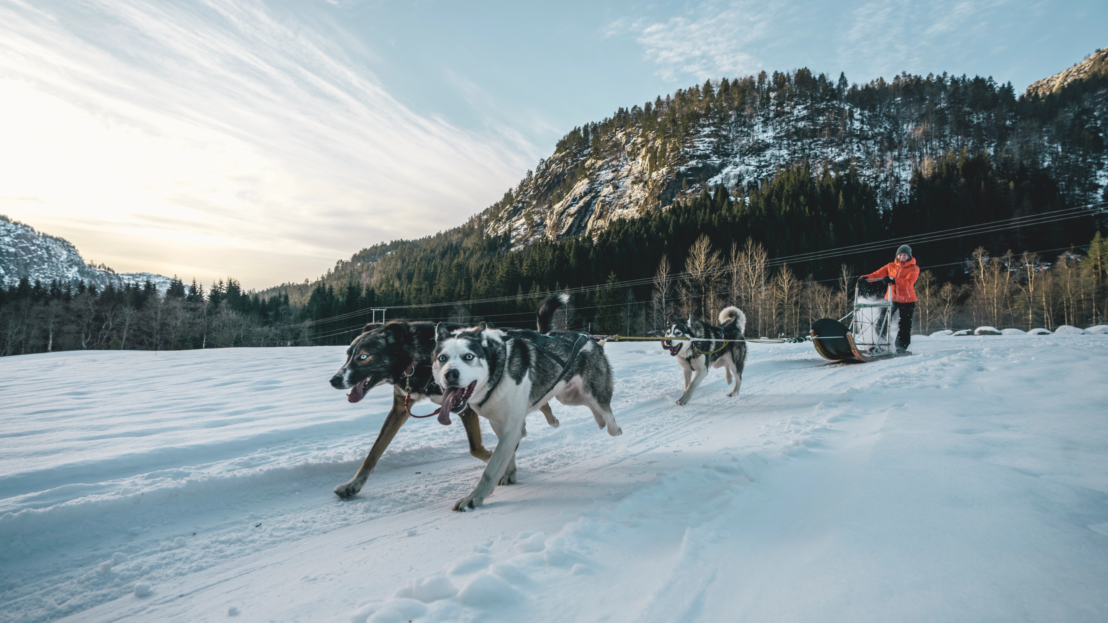 Husky tour in Sirdal
