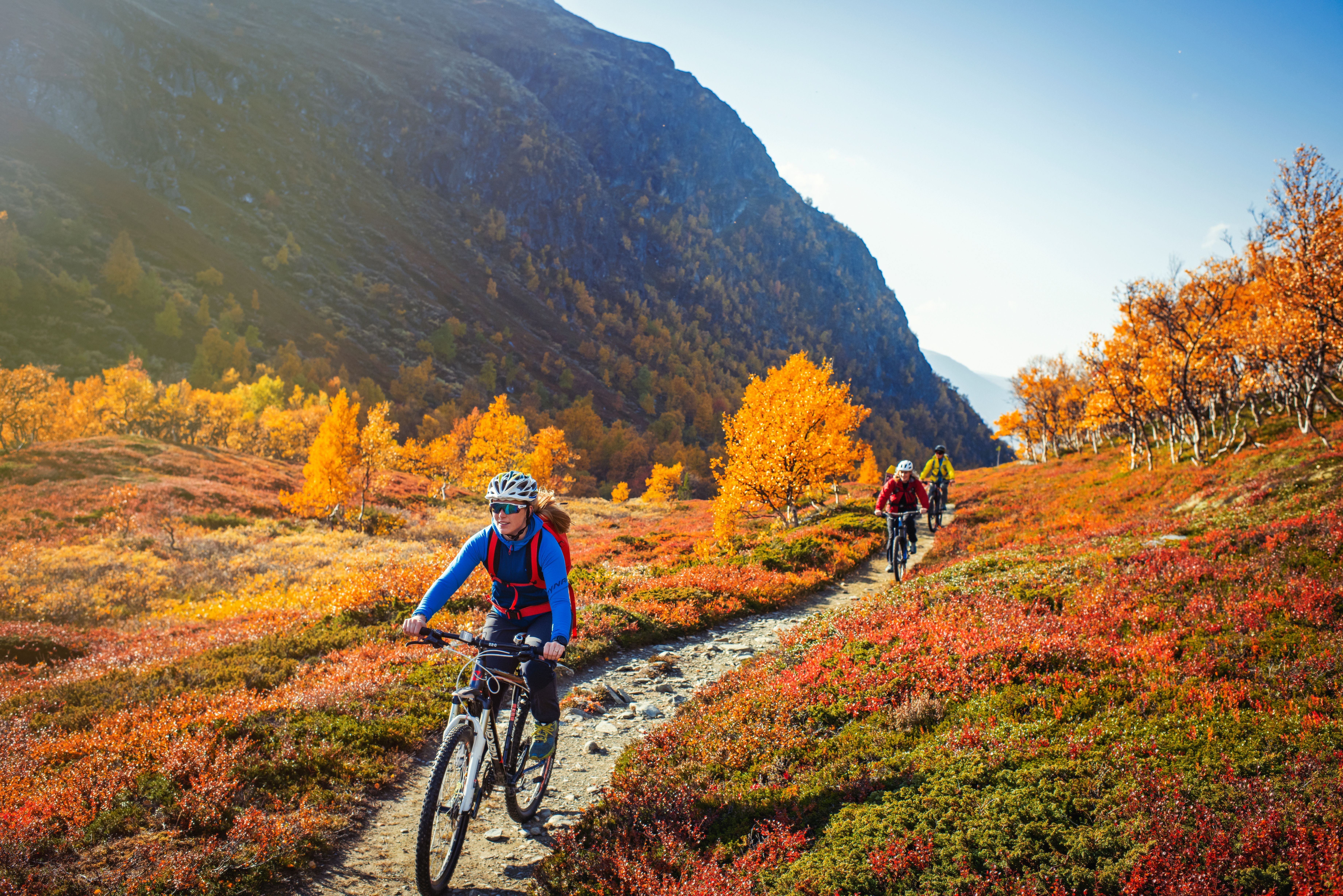 Three people biking on a trail in the mountains of Trøndelag during autumn