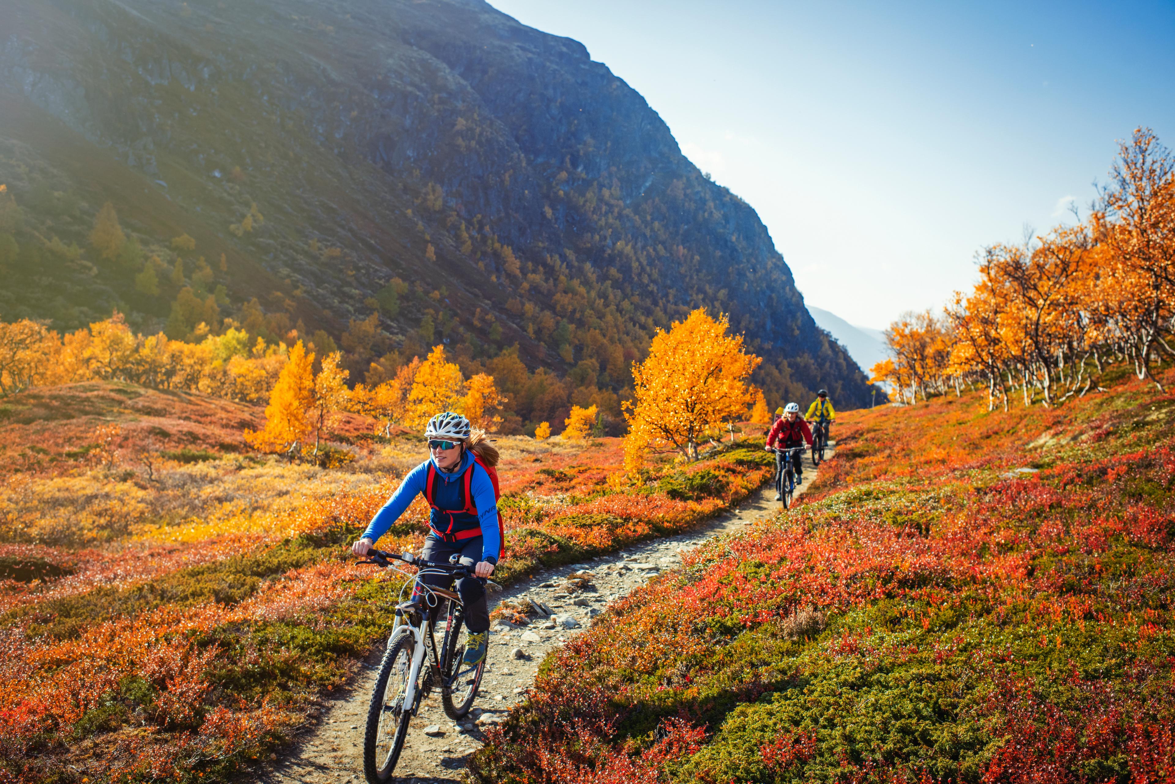 Three people biking on a trail in the mountains of Trøndelag during autumn