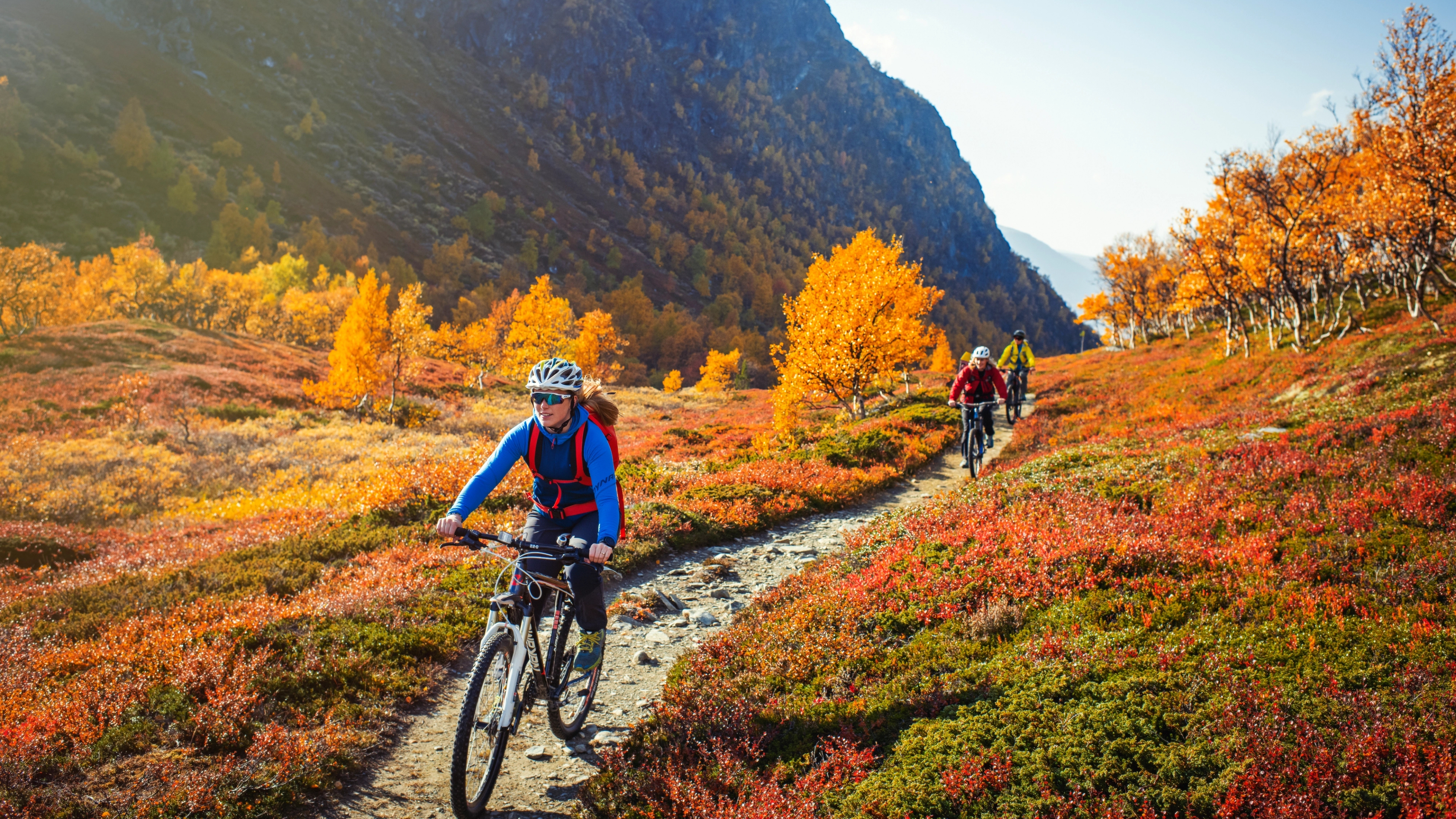 Three people biking on a trail in the mountains of Trøndelag during autumn