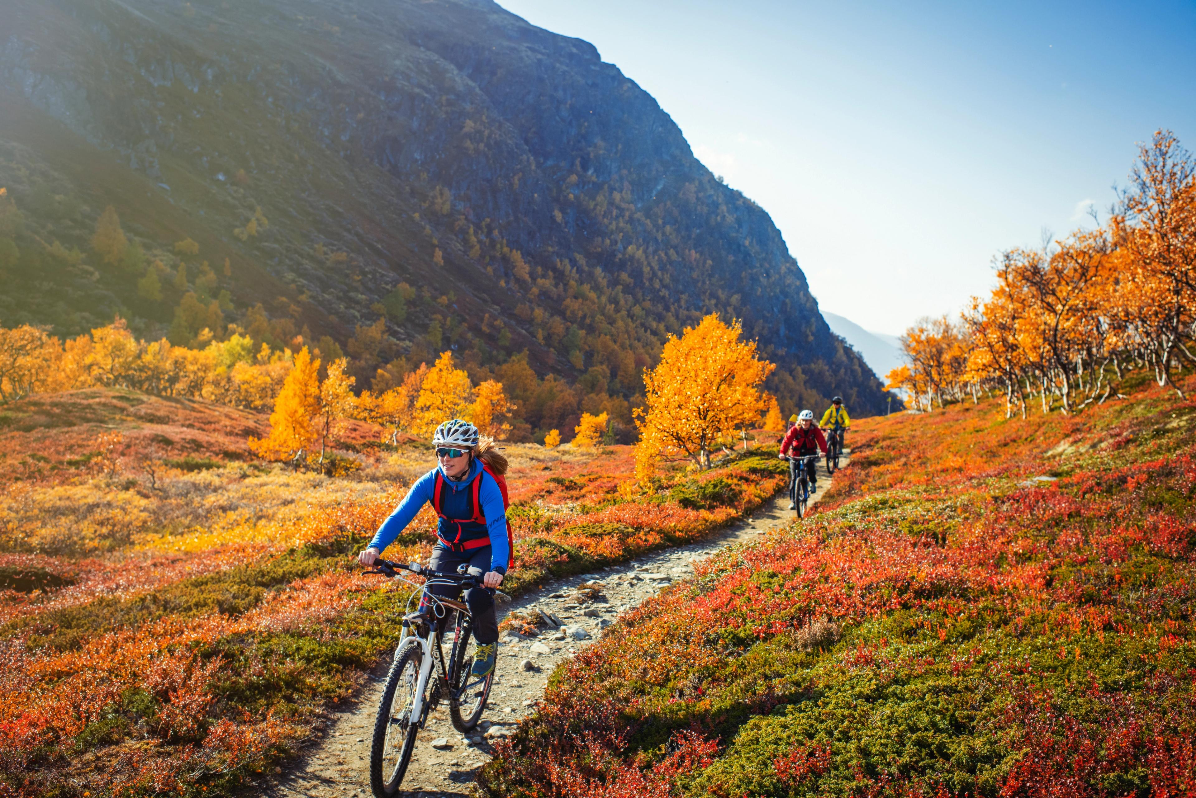 Three people biking on a trail in the mountains of Trøndelag during autumn