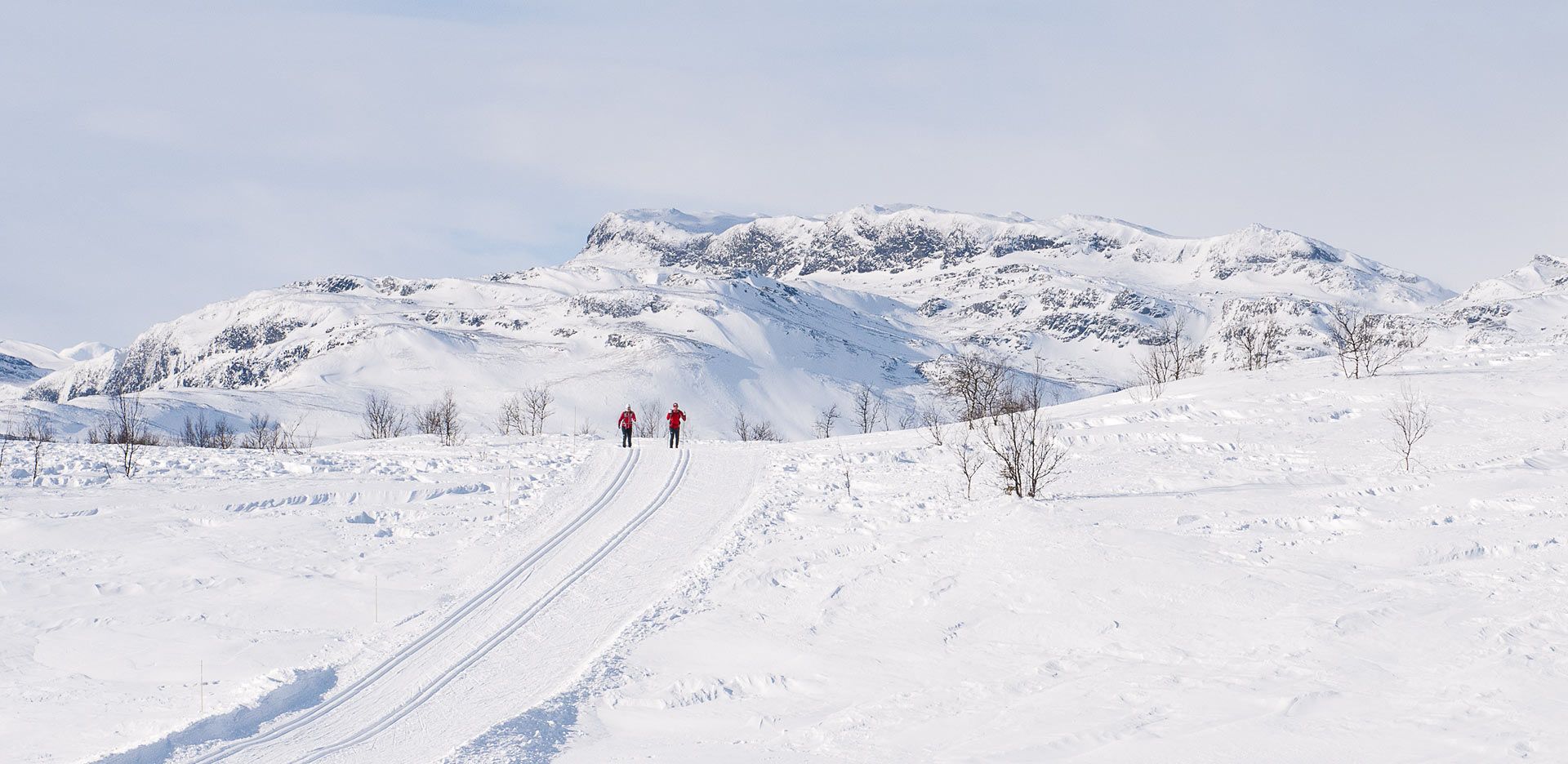 View on people cross-country skiing through the landscape near Beitostølen, Eastern Norway