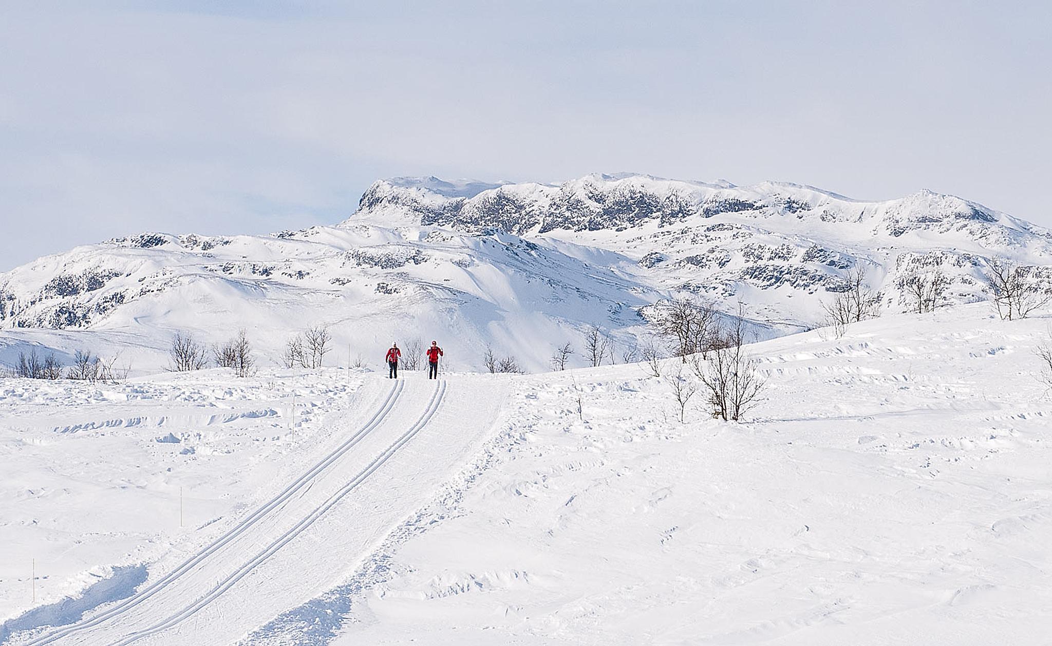 Folk går på langrenn nær Beitostølen