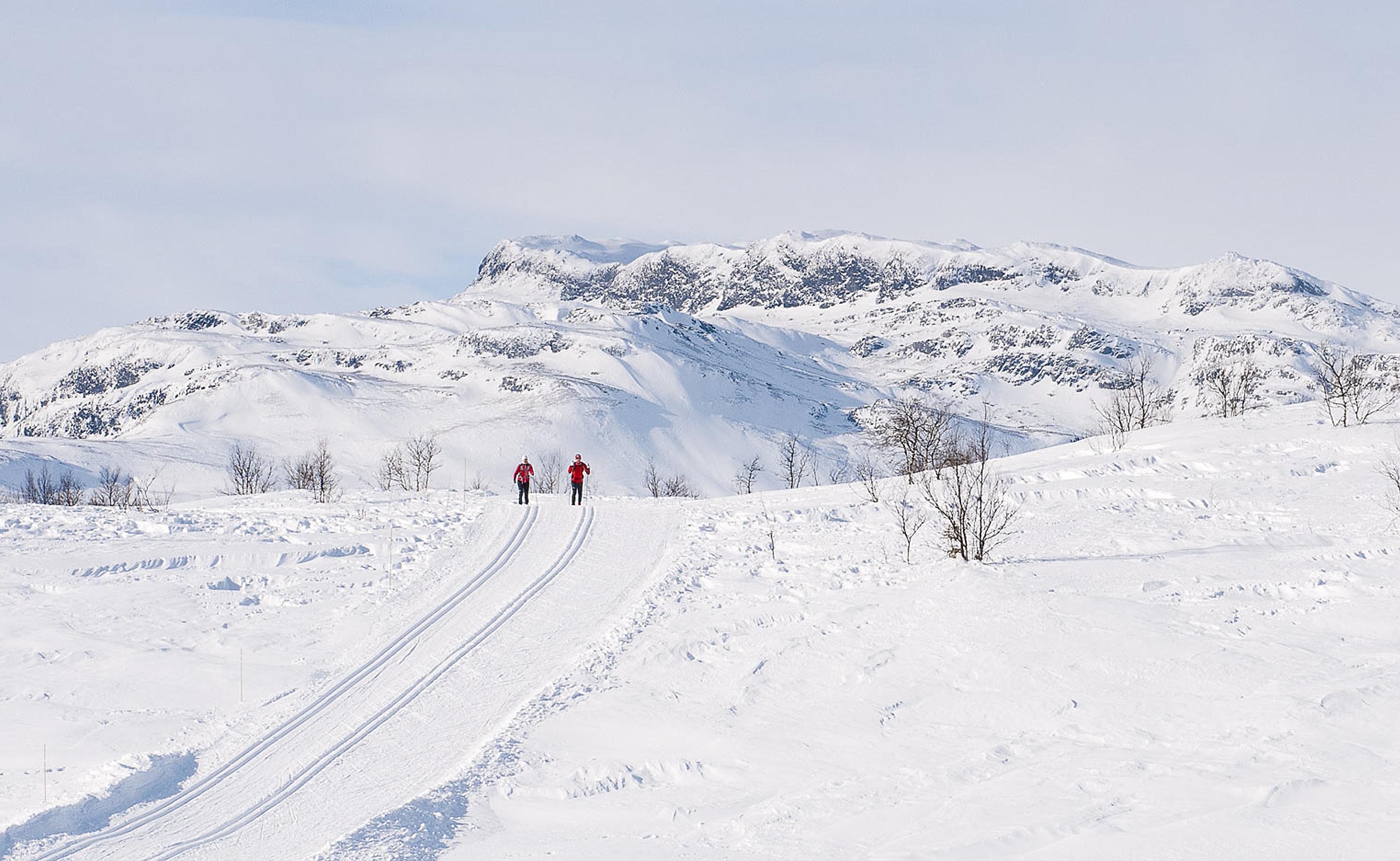 View on people cross-country skiing through the landscape near Beitostølen, Eastern Norway