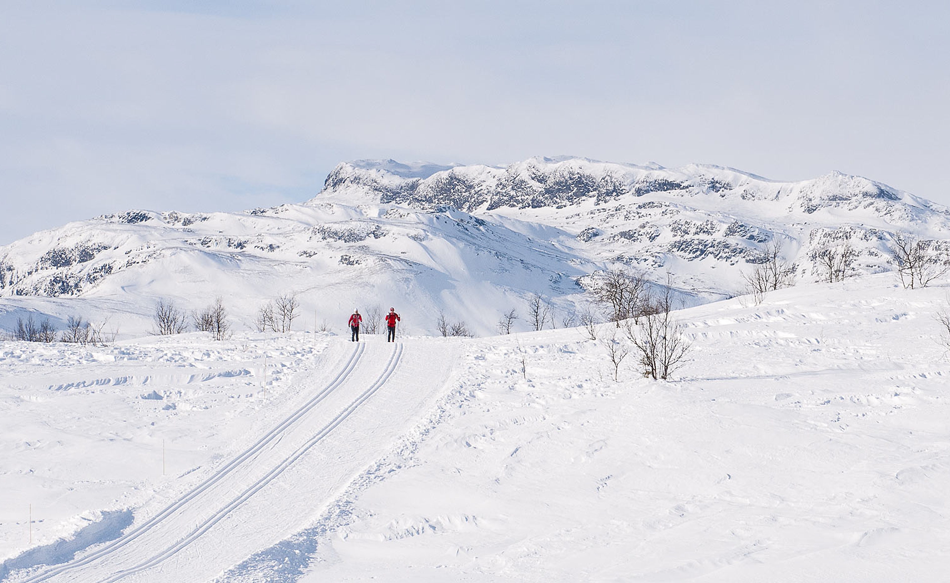 View on people cross-country skiing through the landscape near Beitostølen, Eastern Norway