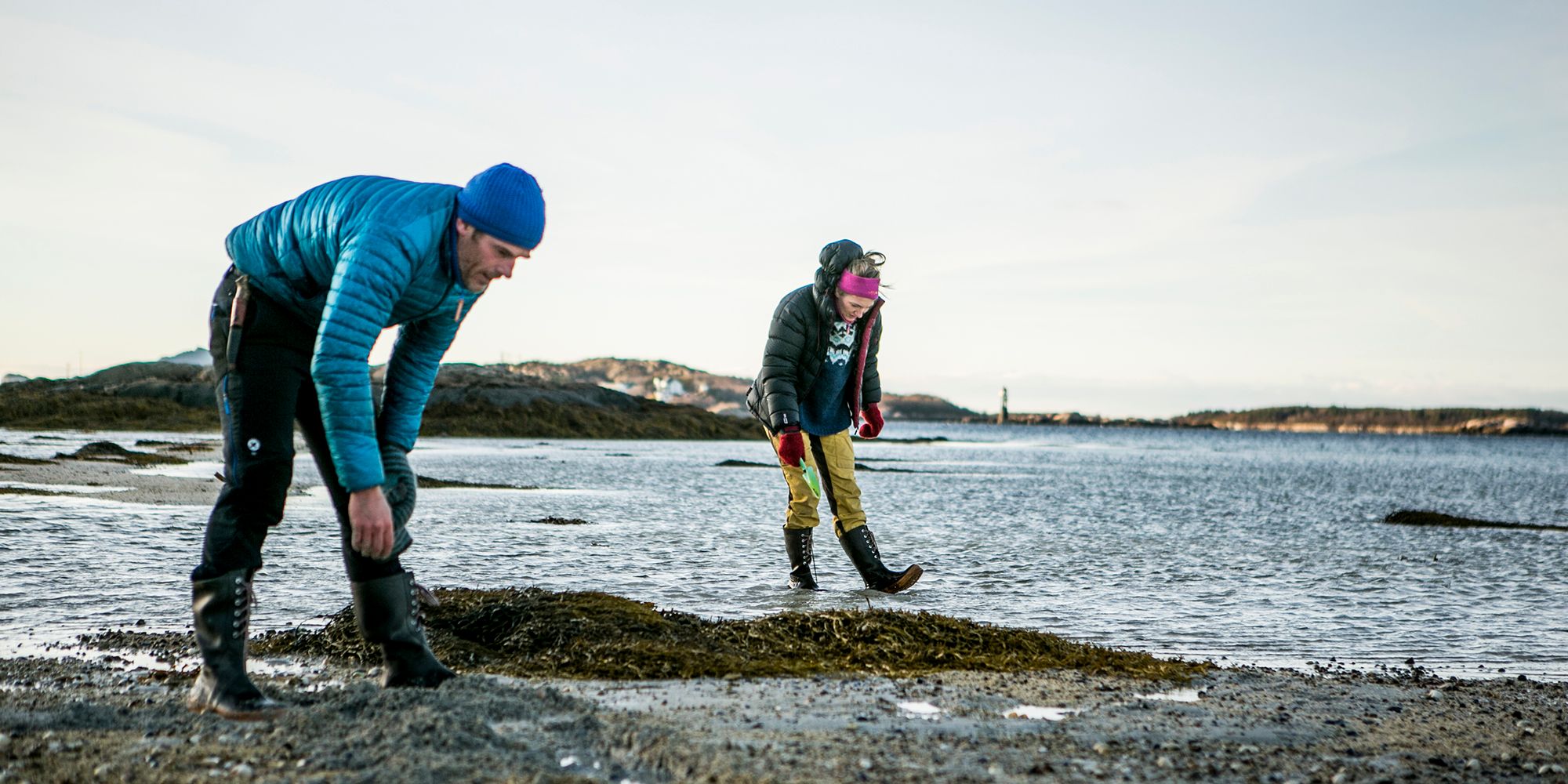 To personer på jakt etter sjømat i fjæra i Steigen i Nordland, Nord-Norge