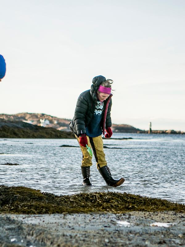 To personer på jakt etter sjømat i fjæra i Steigen i Nordland, Nord-Norge