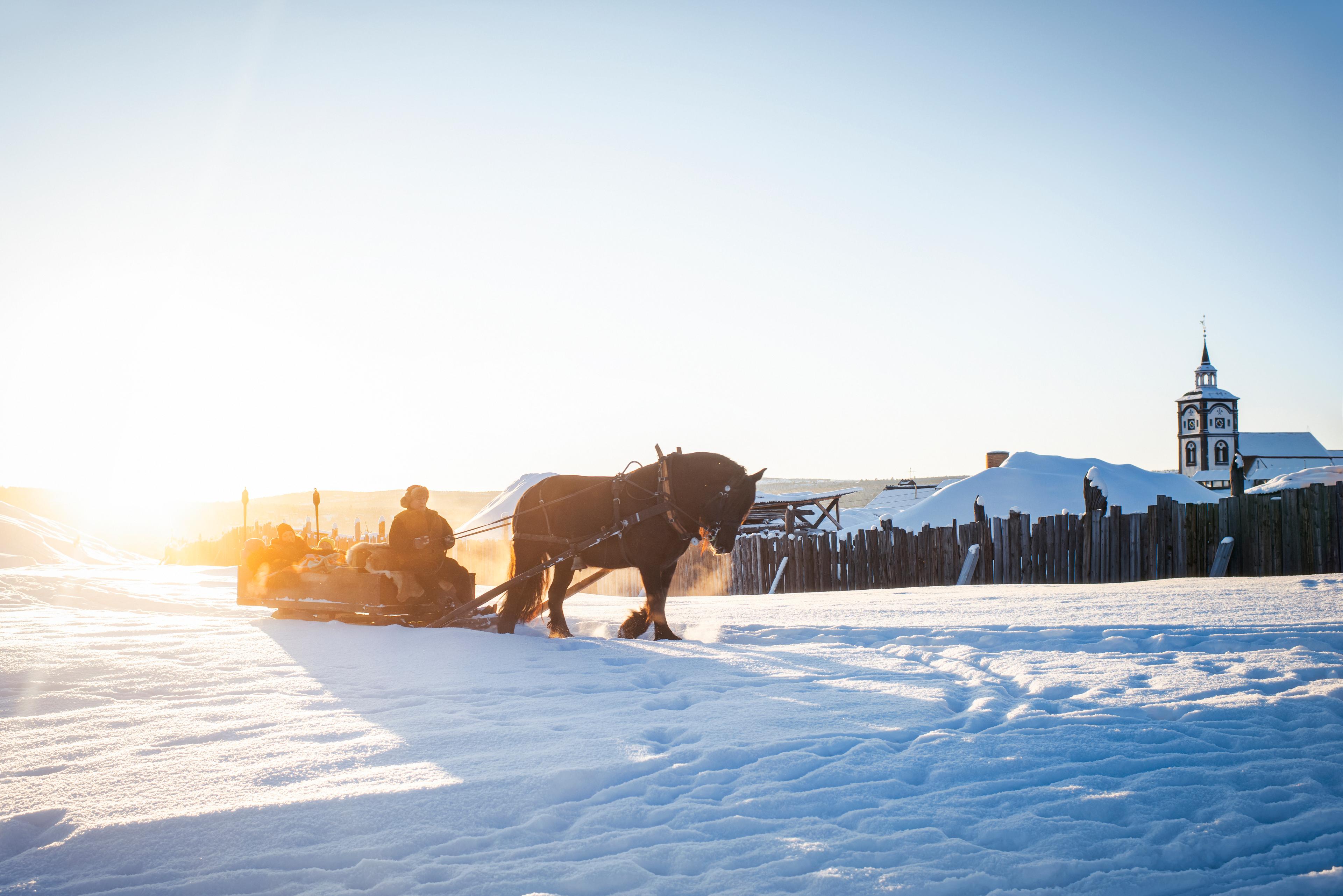 Horsesledding in the winter in Røros, Trøndelag