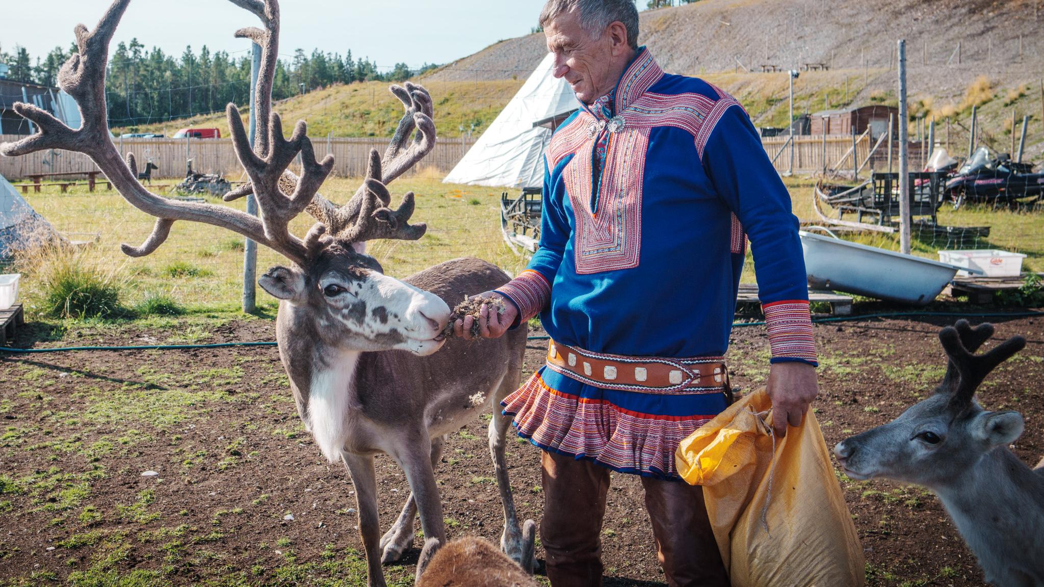 A sami man feeding reindeer at Sami Siida in Alta